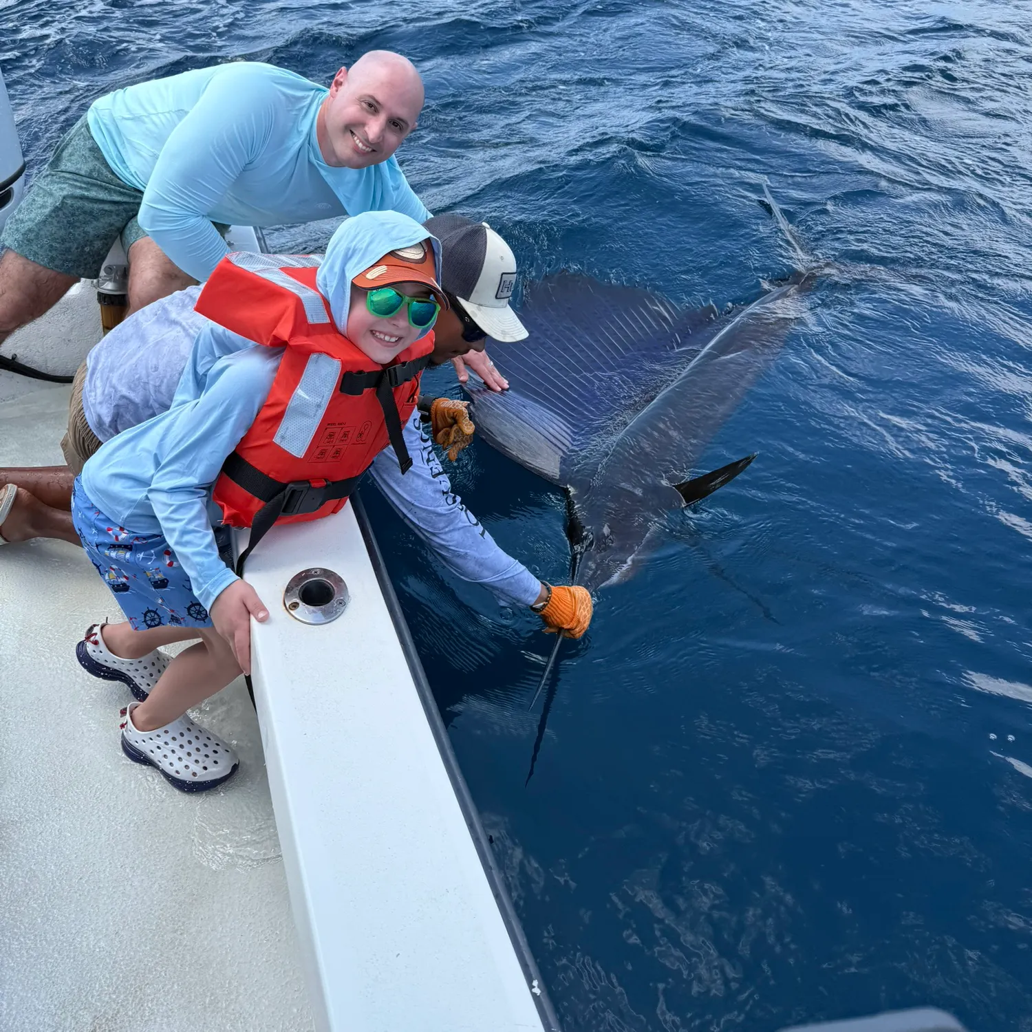 The most recent Indo-Pacific sailfish catches on Fishbrain