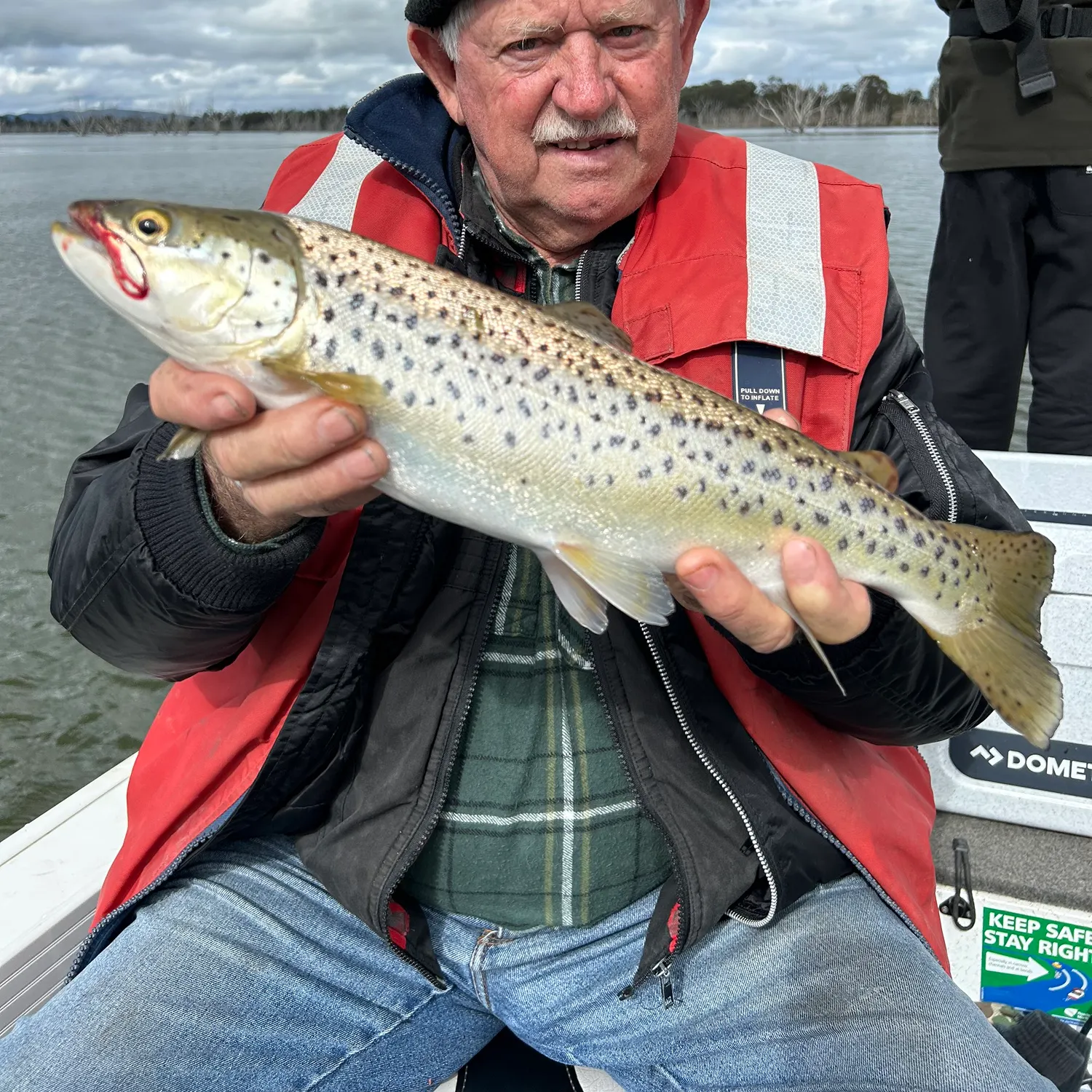 Brown trout caught on Fishbrain