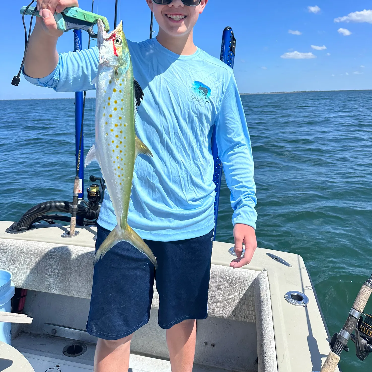 The most recent Spanish mackerel catches on Fishbrain