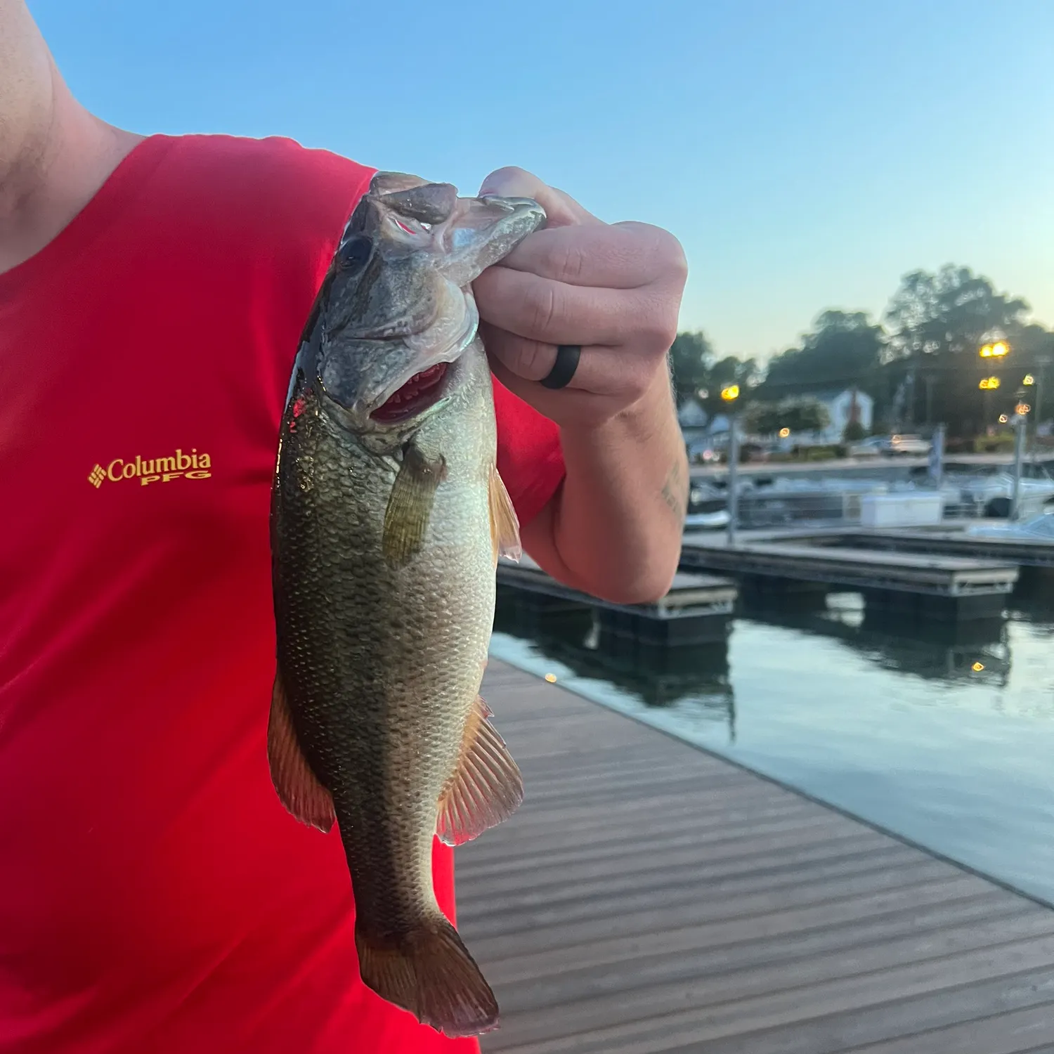 angler catch