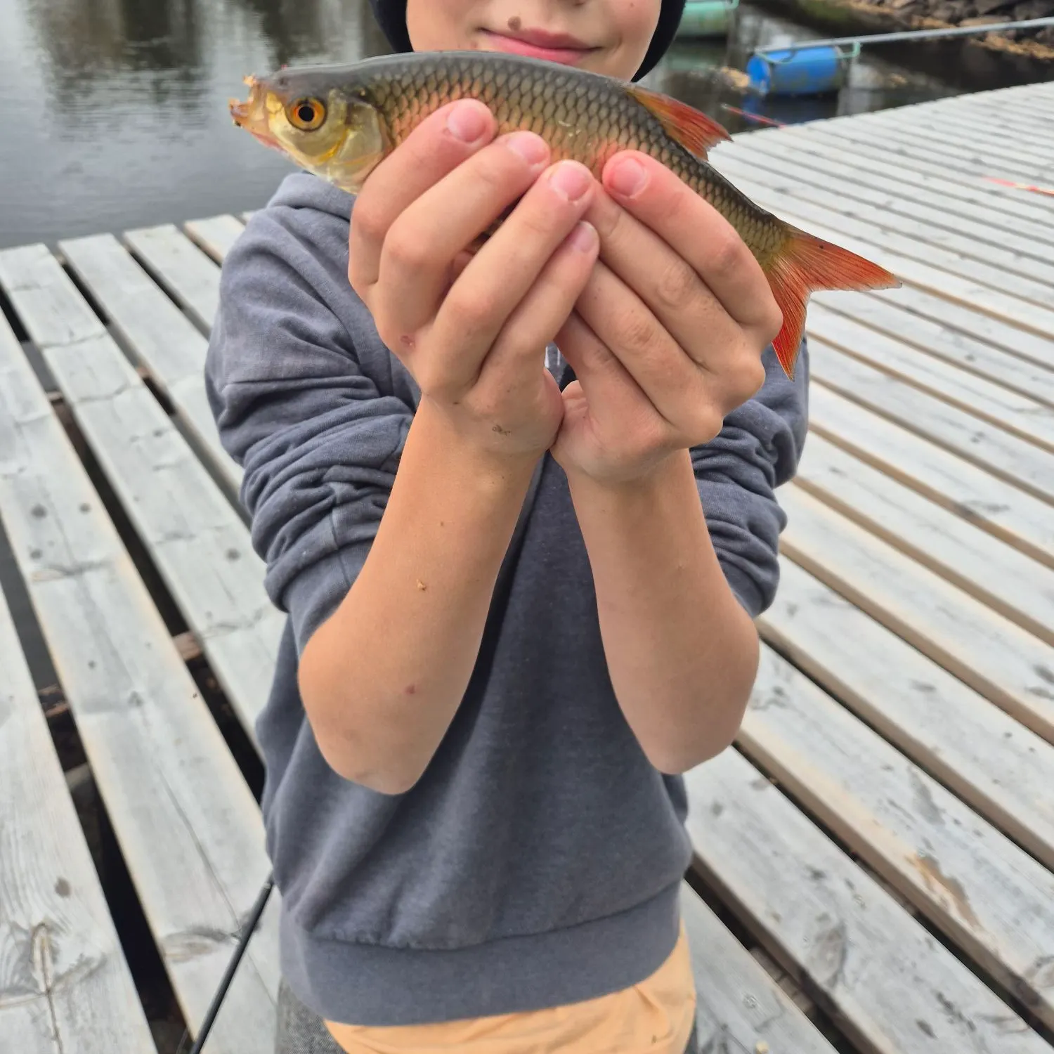Common rudd caught on Fishbrain