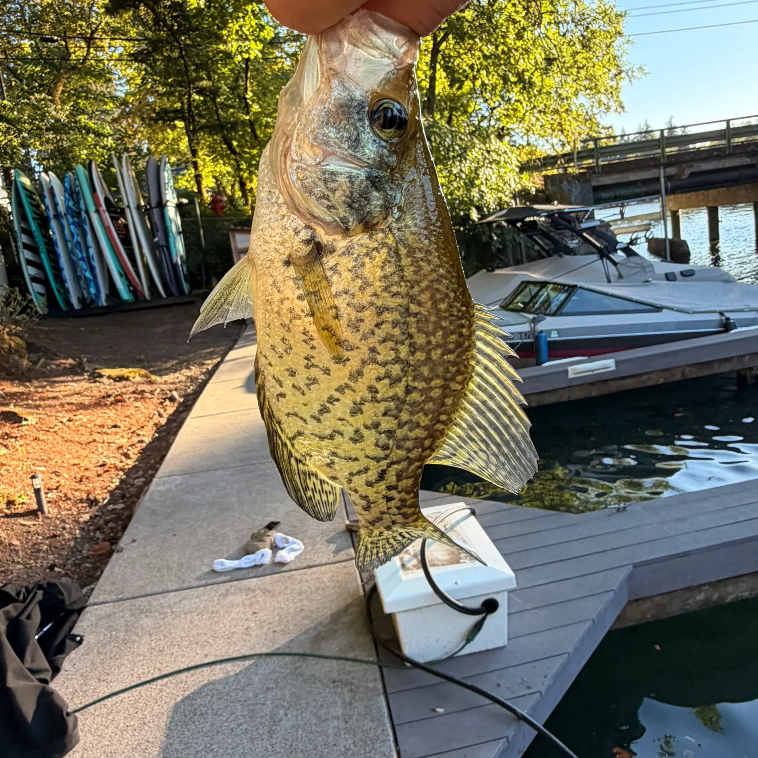 catch