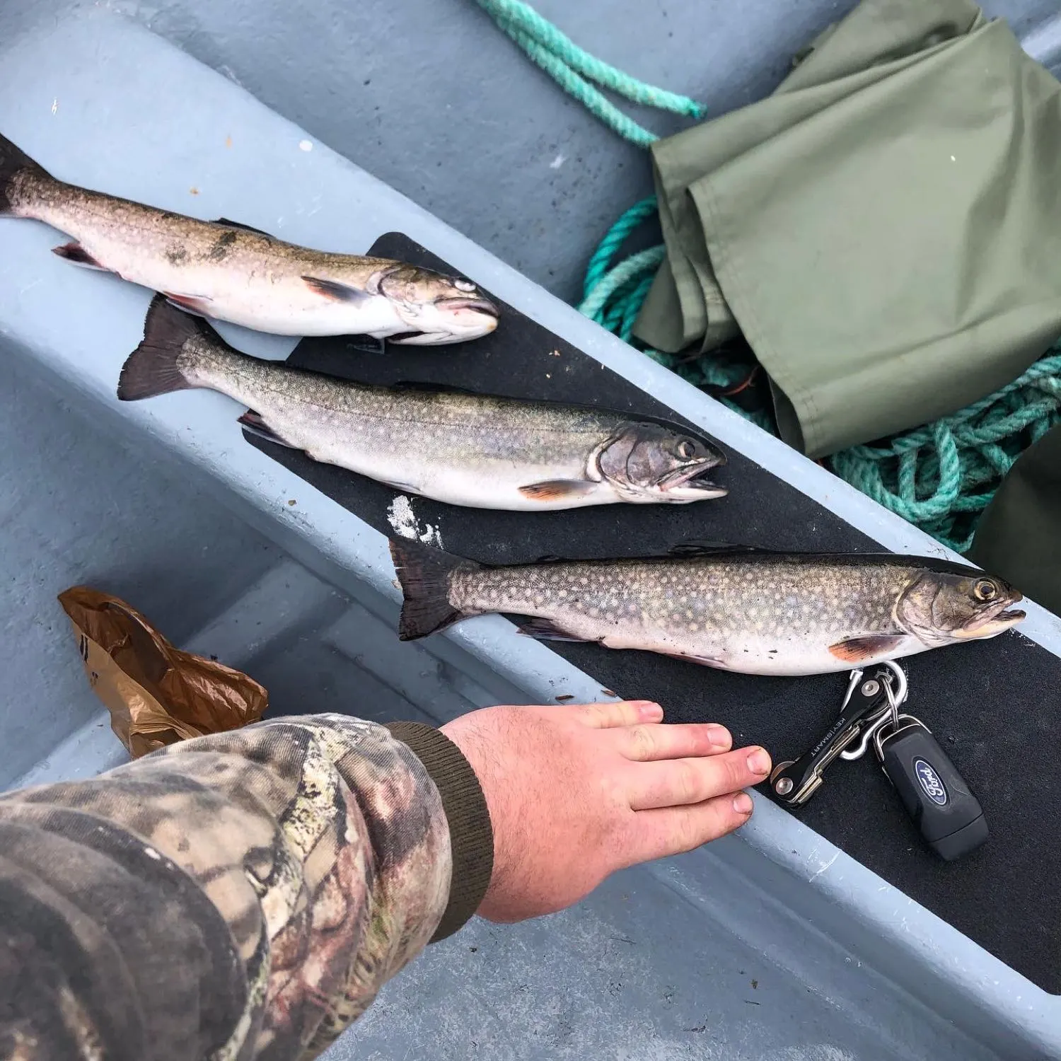 recently logged catches