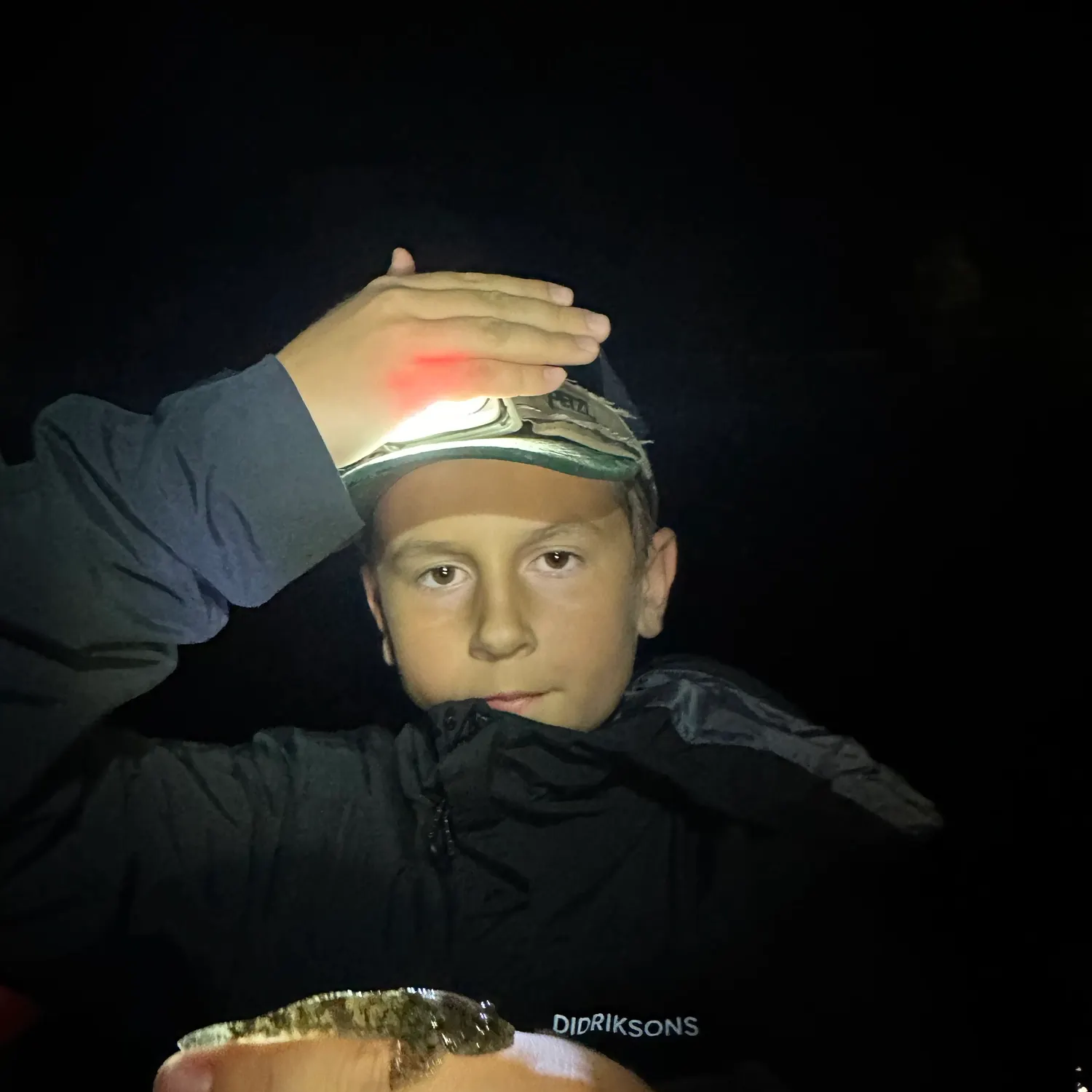 The most recent Cabezon catches on Fishbrain