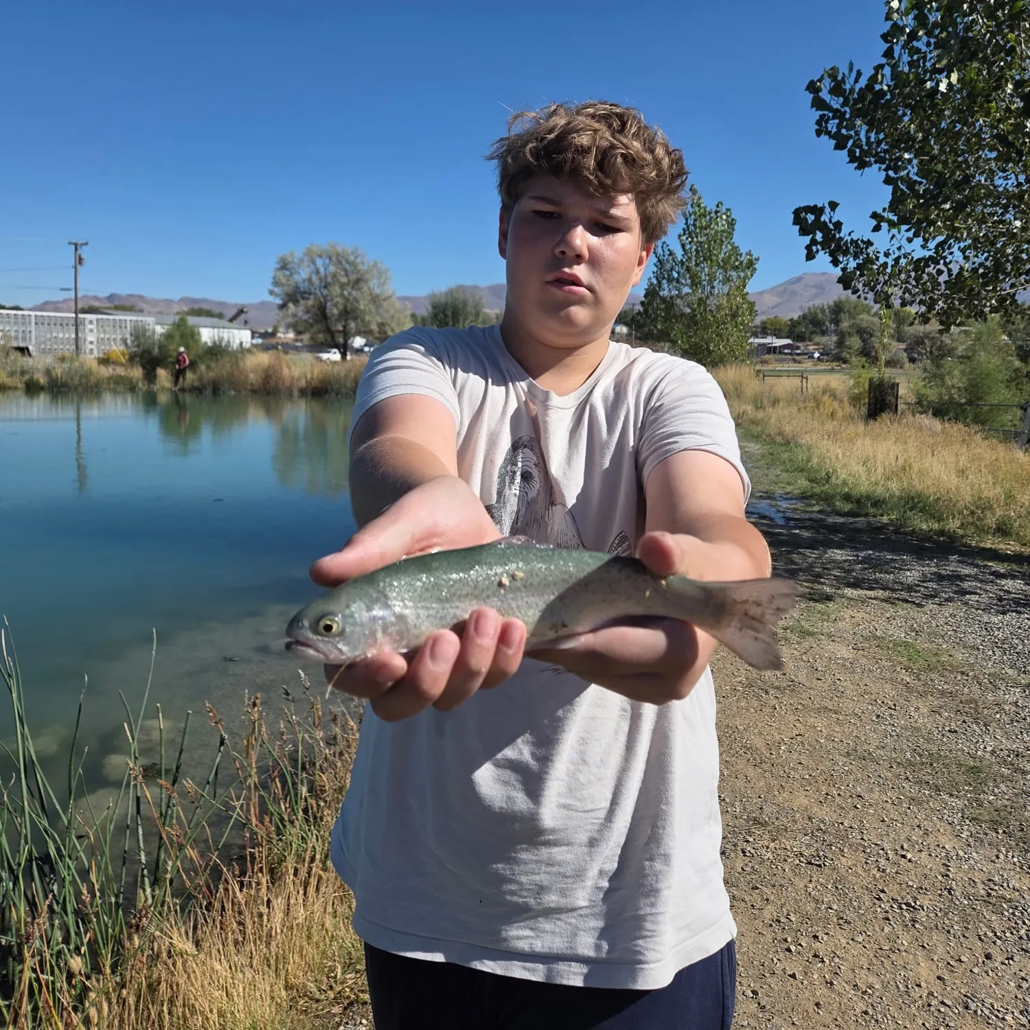 Rainbow trout caught on Fishbrain