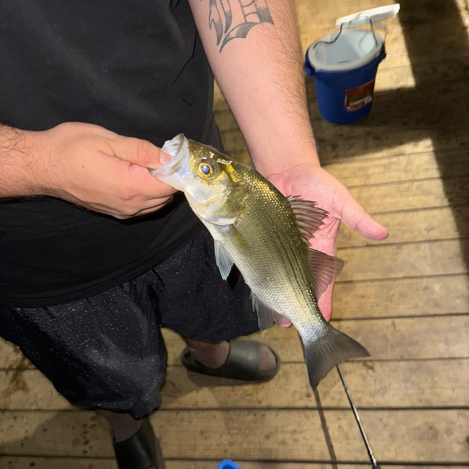 catch