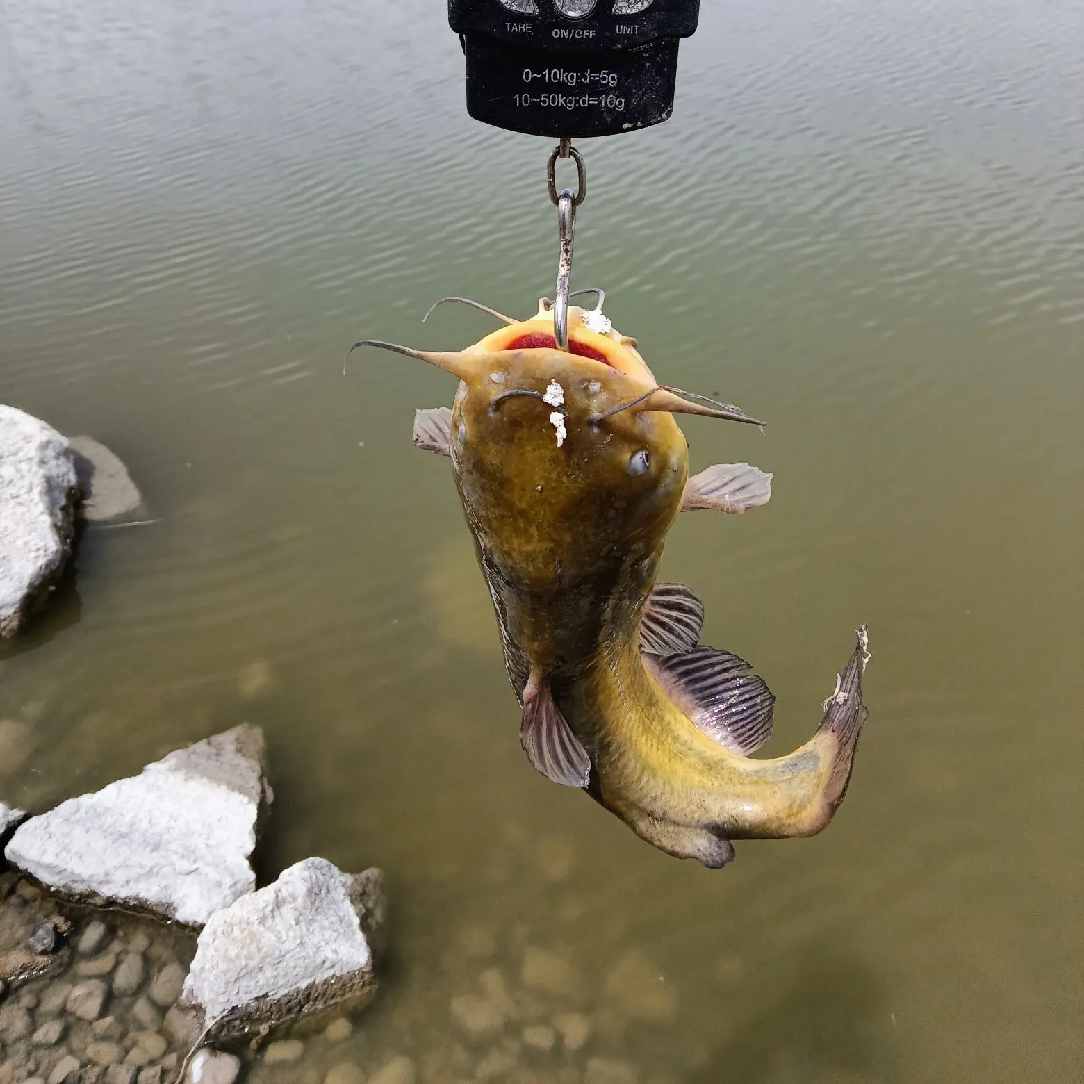 catch