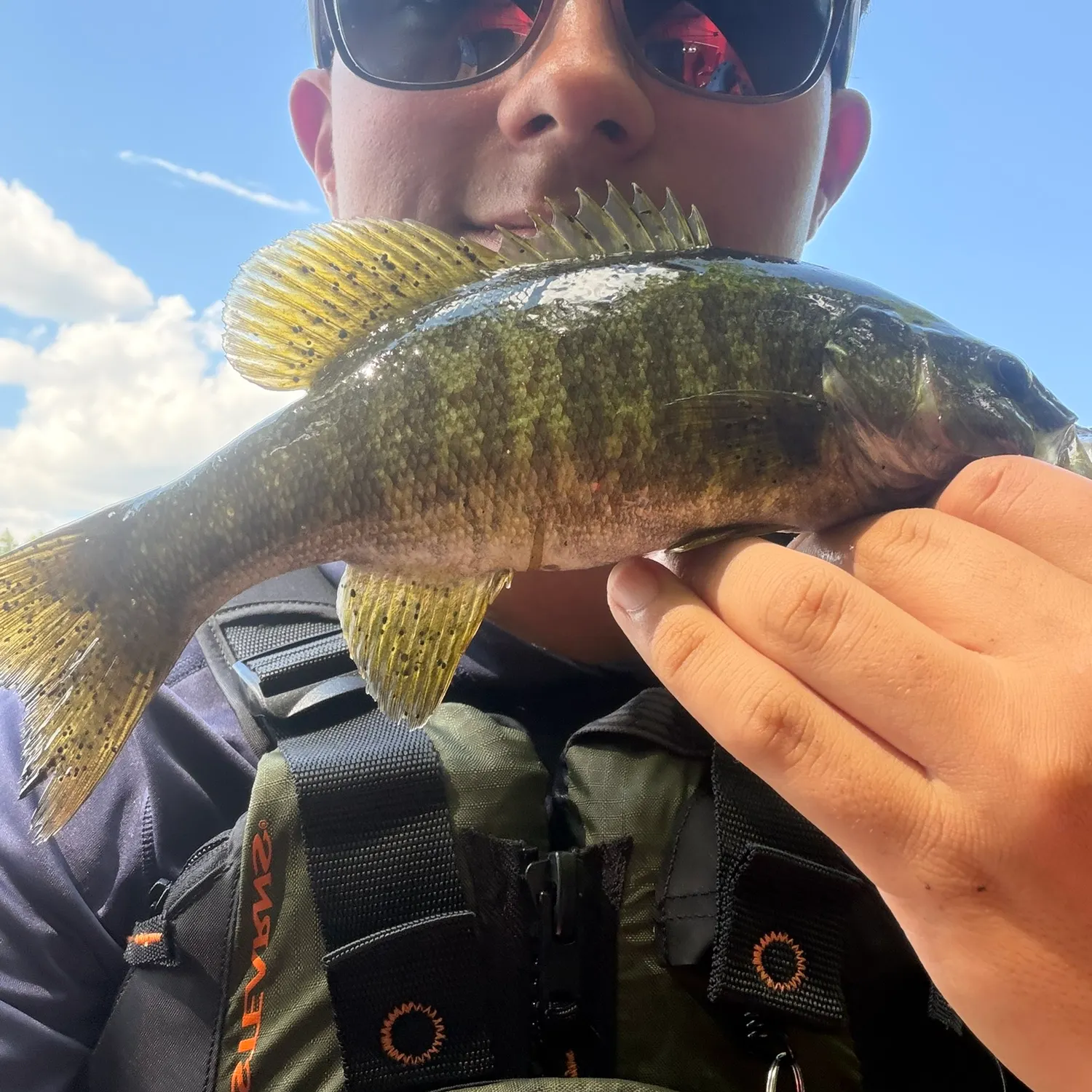 Smallmouth bass caught on Fishbrain