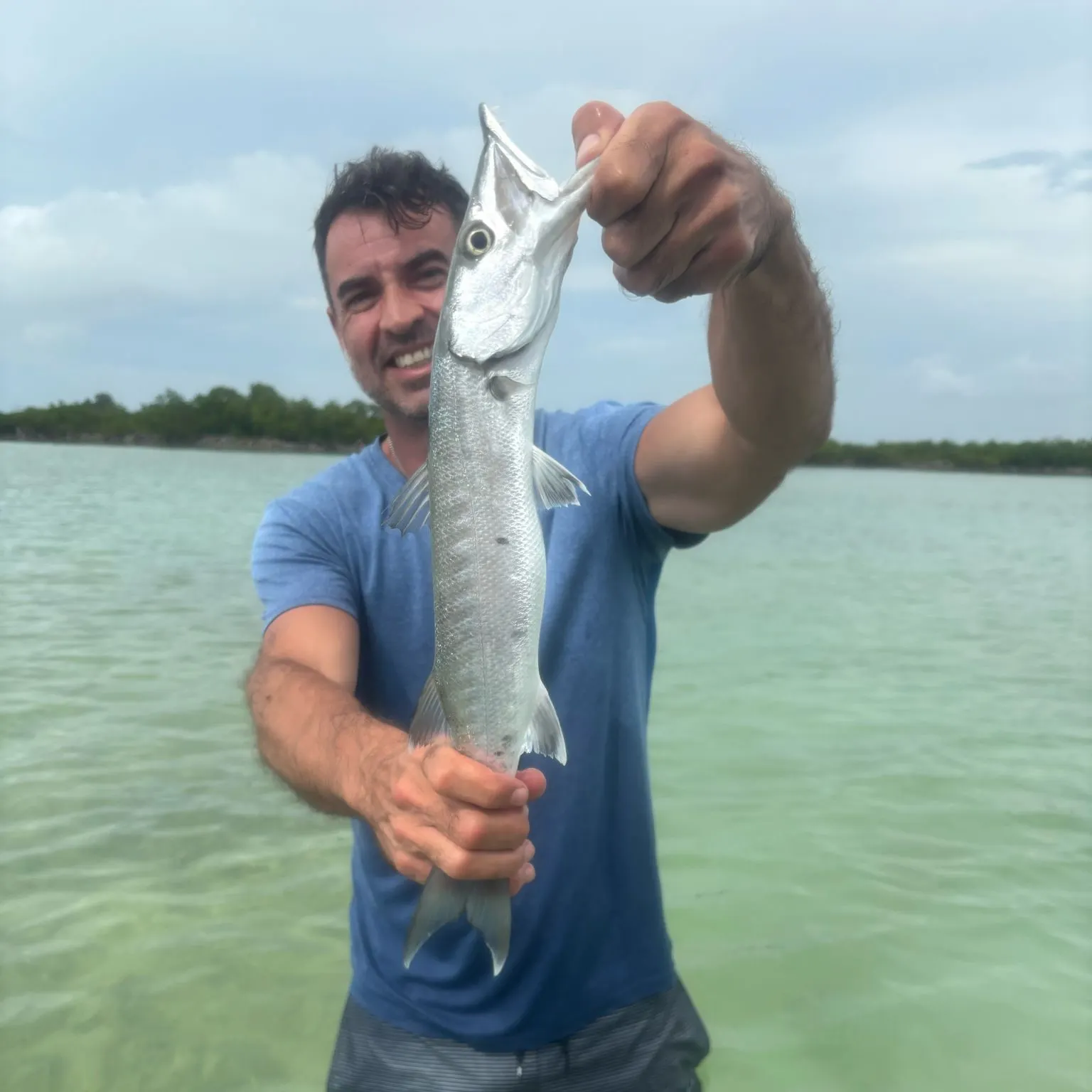 The most recent Southern sennet catches on Fishbrain