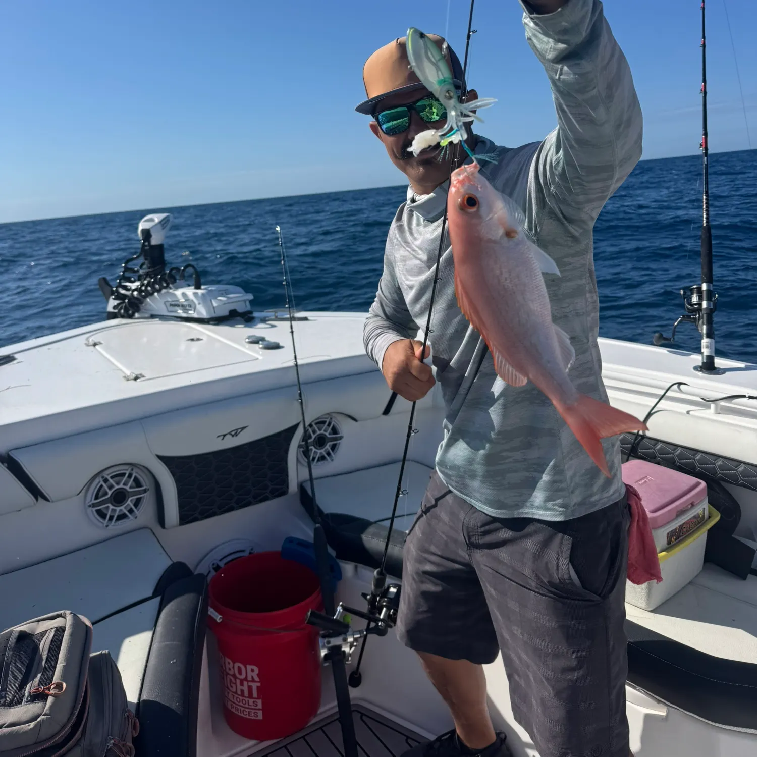 The most recent Vermilion snapper catches on Fishbrain