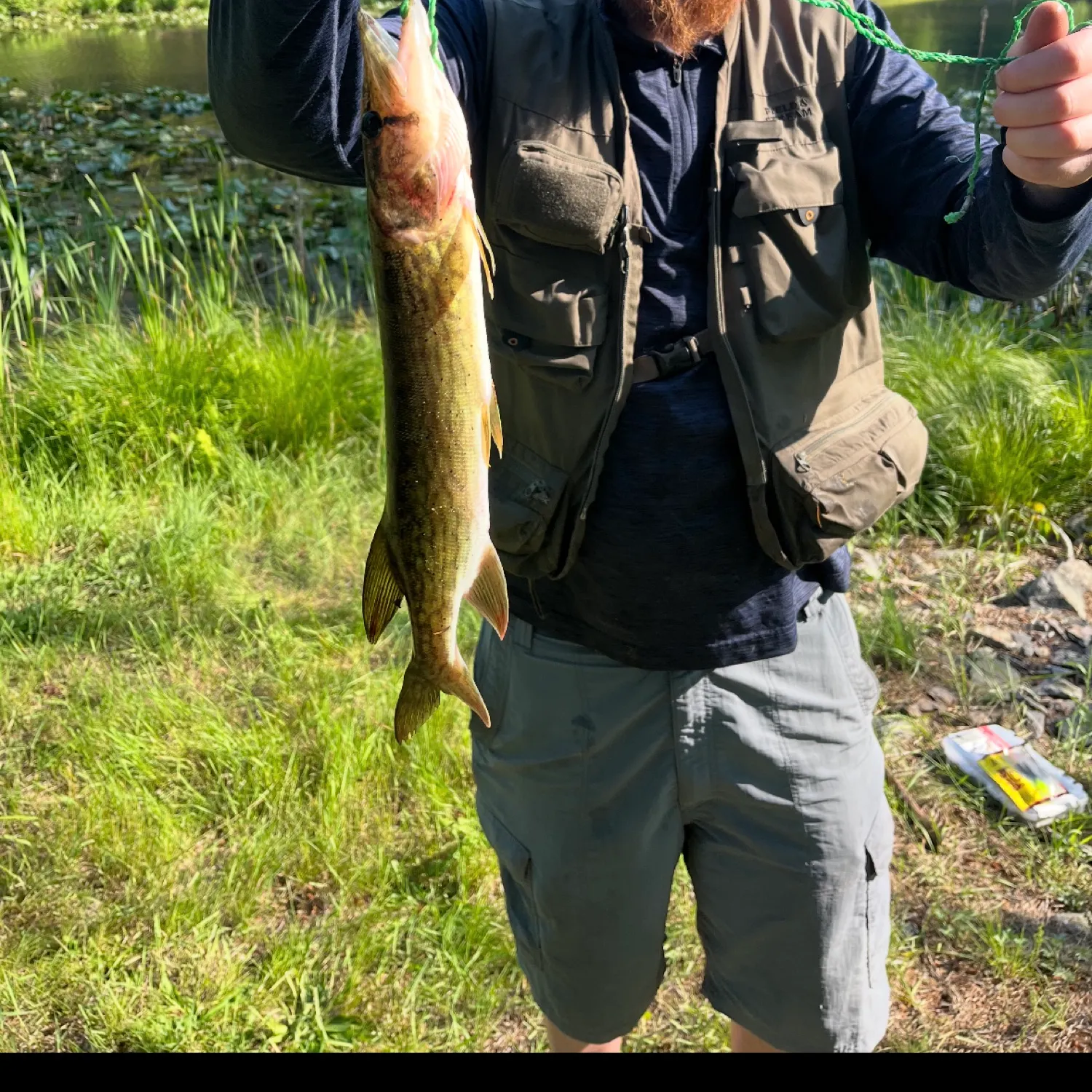 most liked catch image