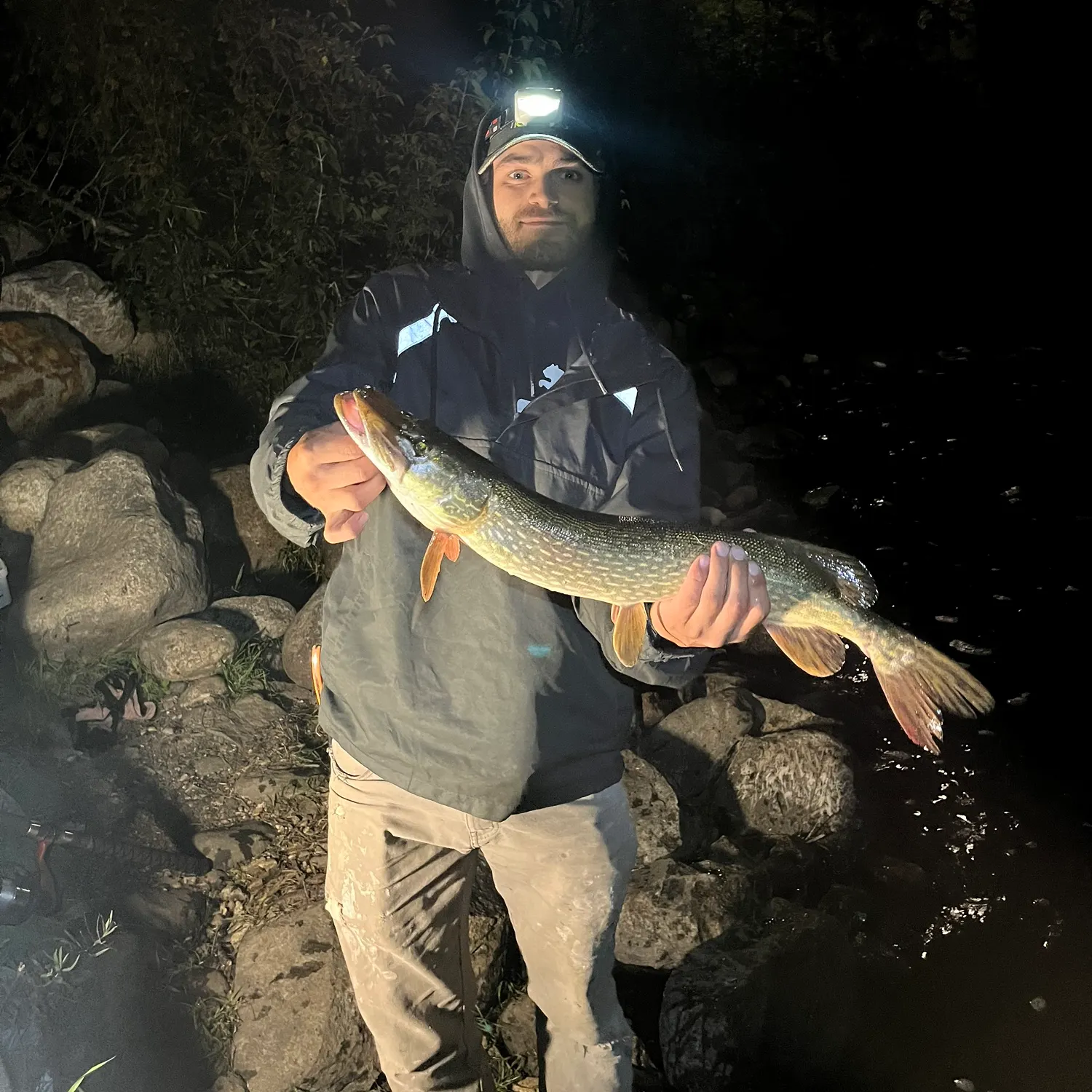Northern pike caught on Fishbrain