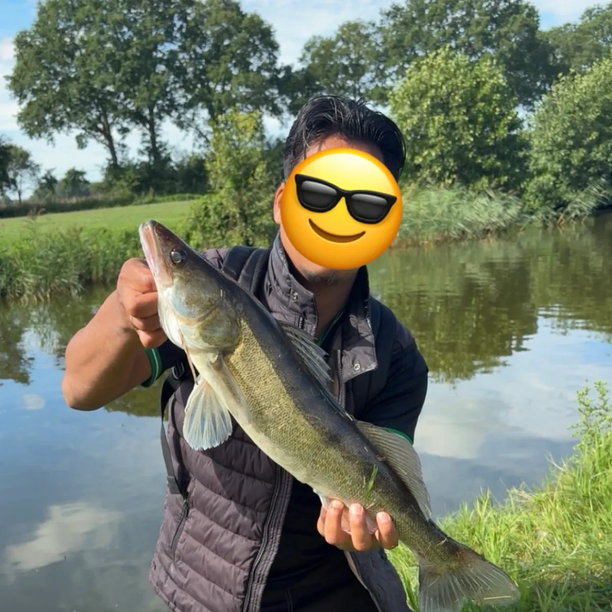 Zander caught on Fishbrain