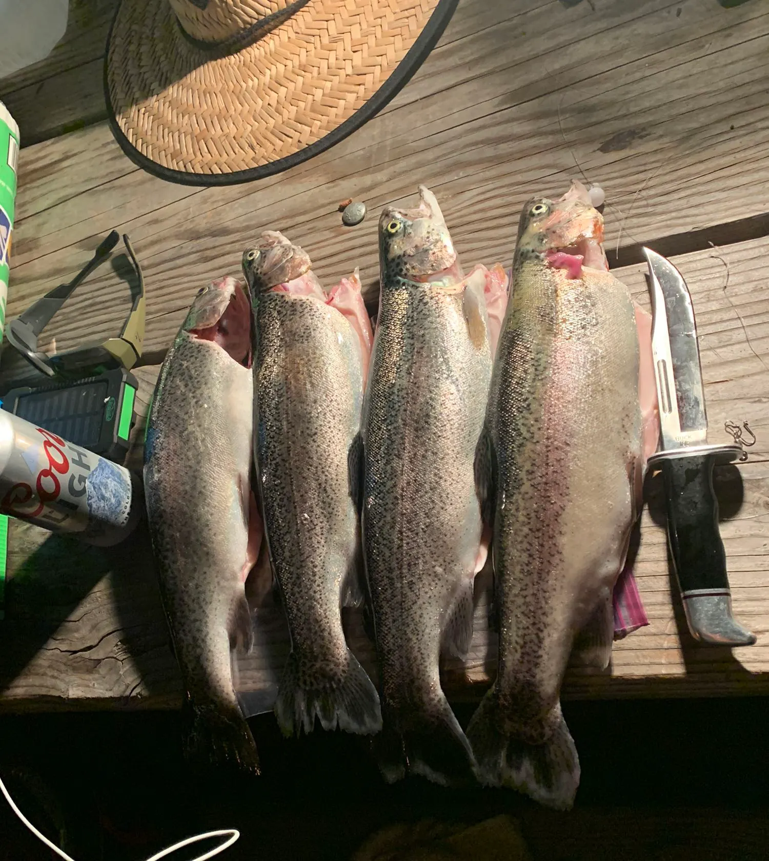 recently logged catches