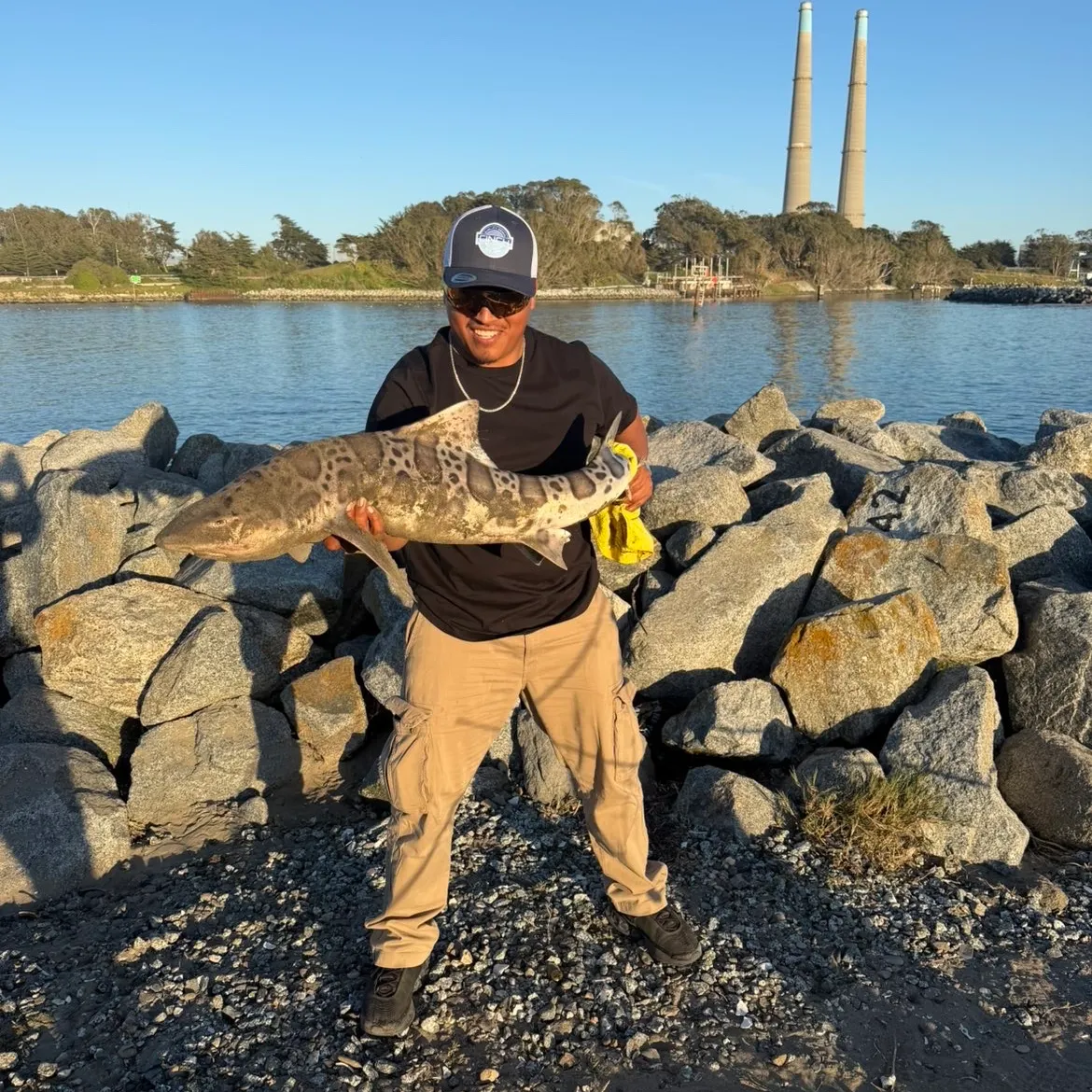 The most recent Leopard shark catches on Fishbrain