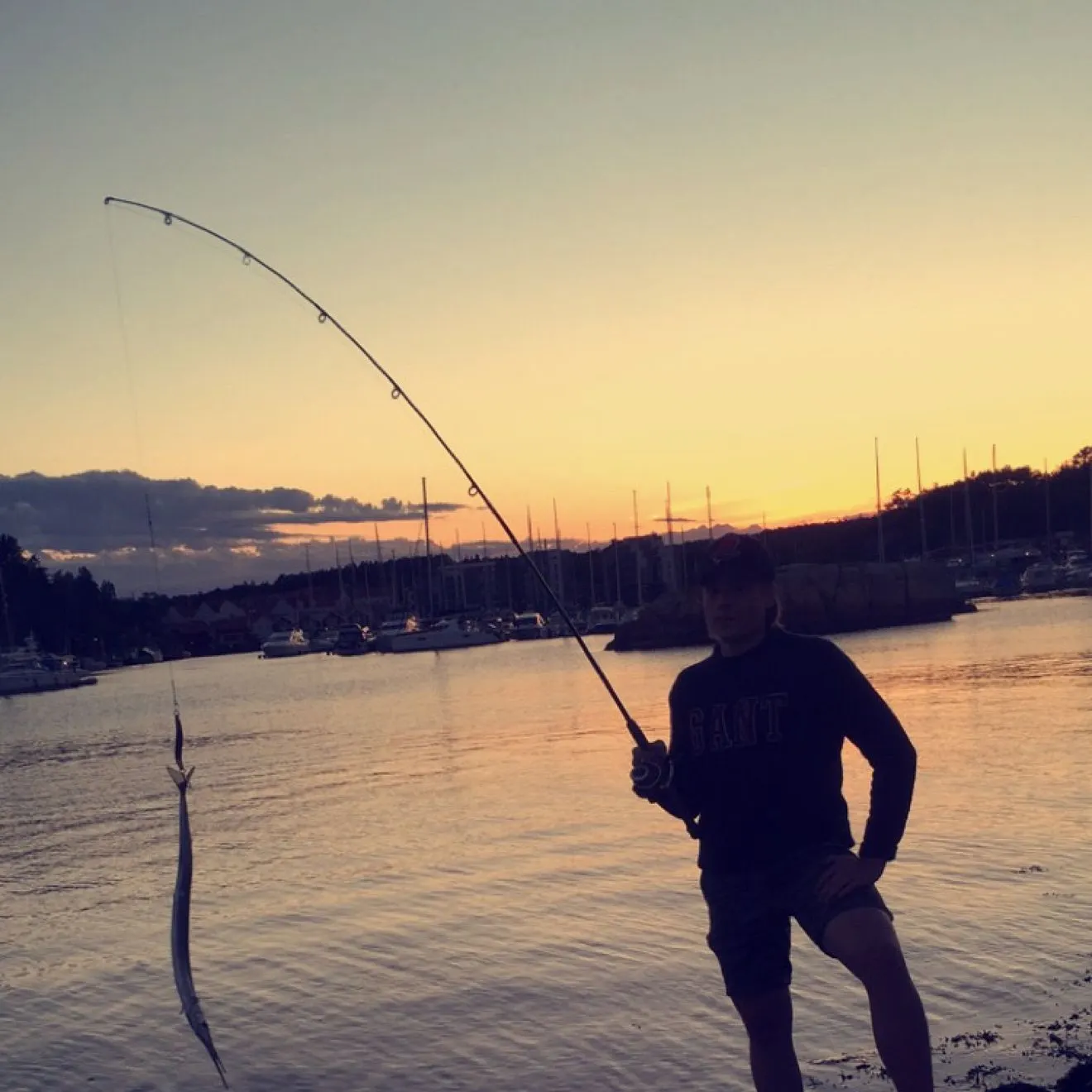 The most recent European garfish catches on Fishbrain