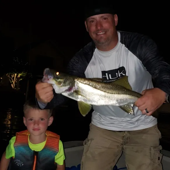 The most recent Tarpon Snook catches on Fishbrain