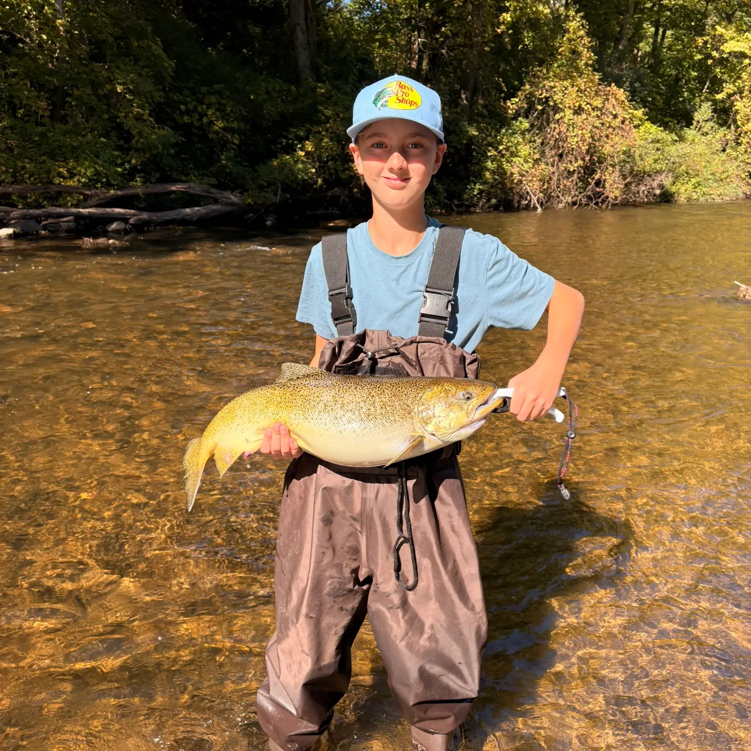 Chinook salmon caught on Fishbrain