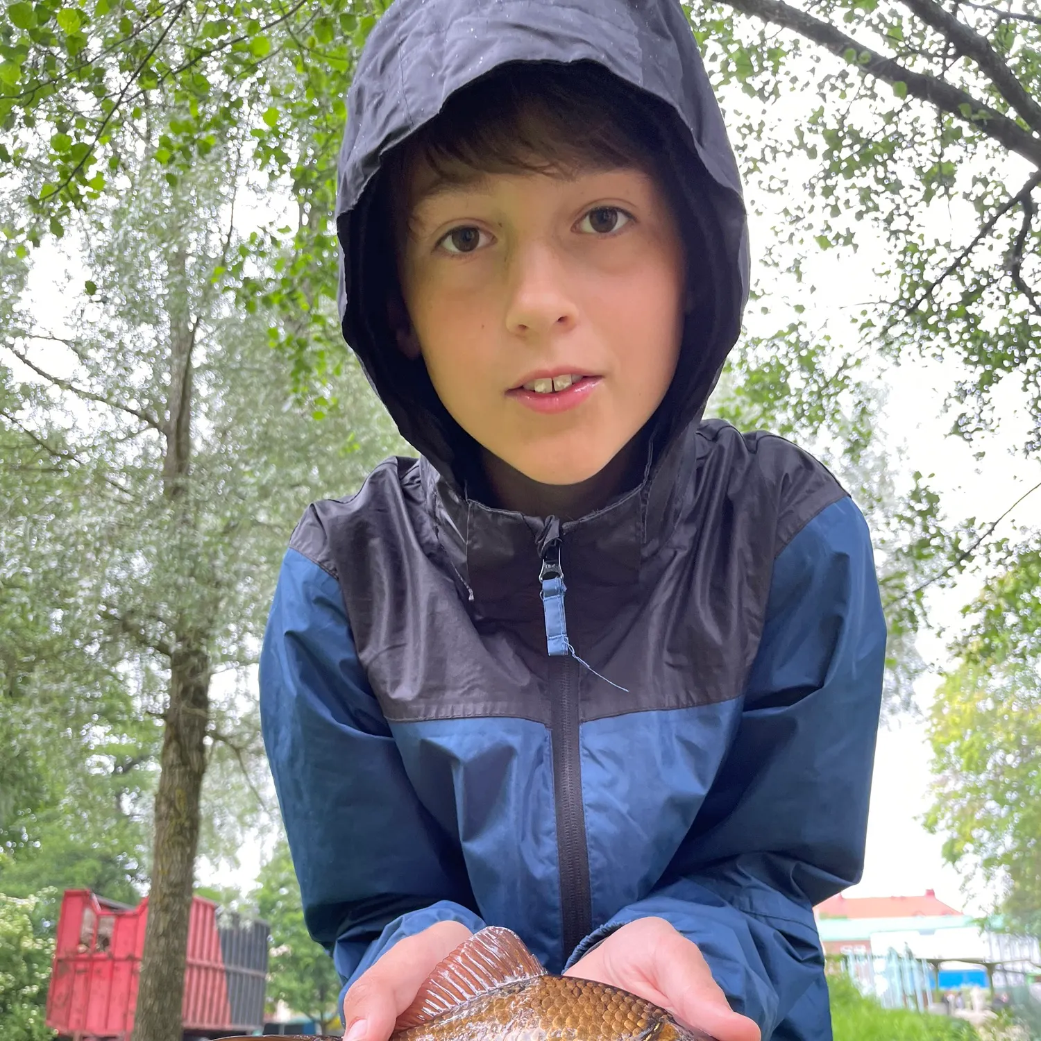 most liked catch image