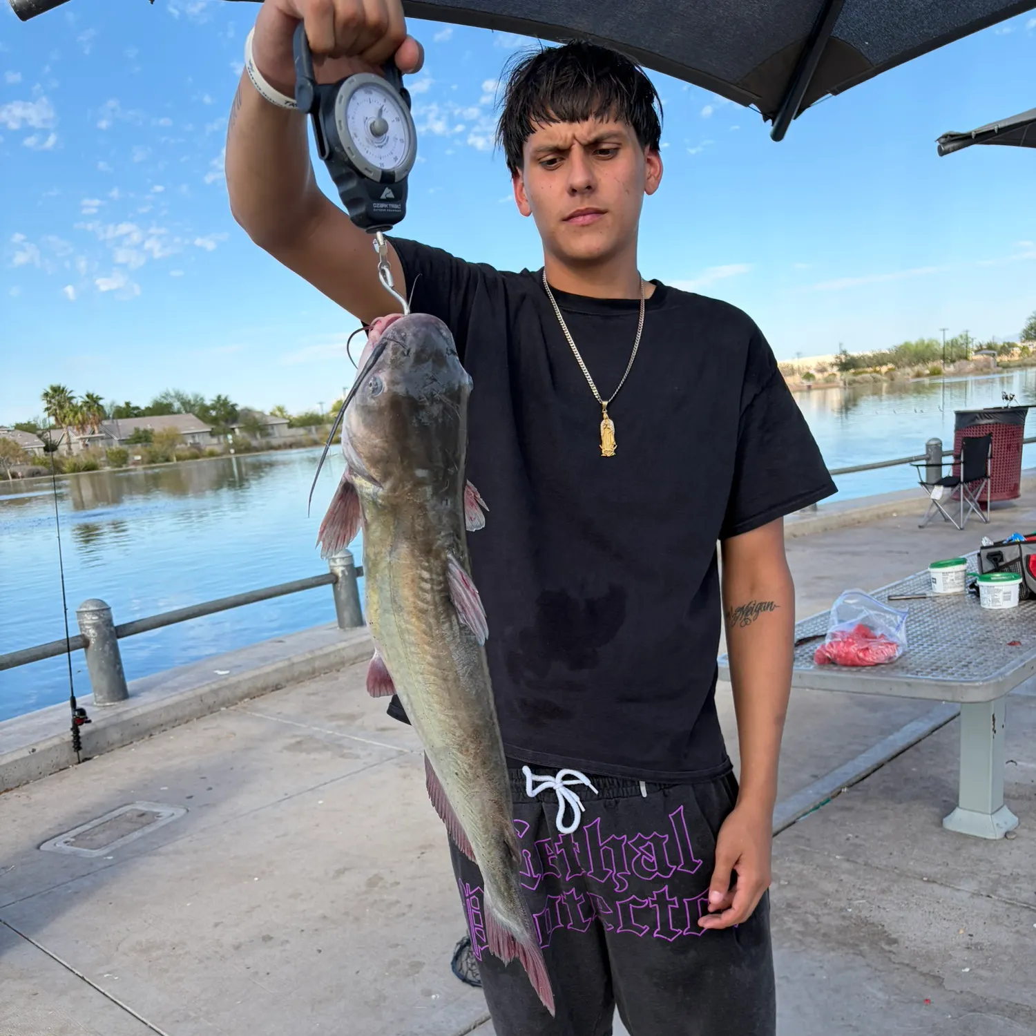 Channel catfish caught on Fishbrain