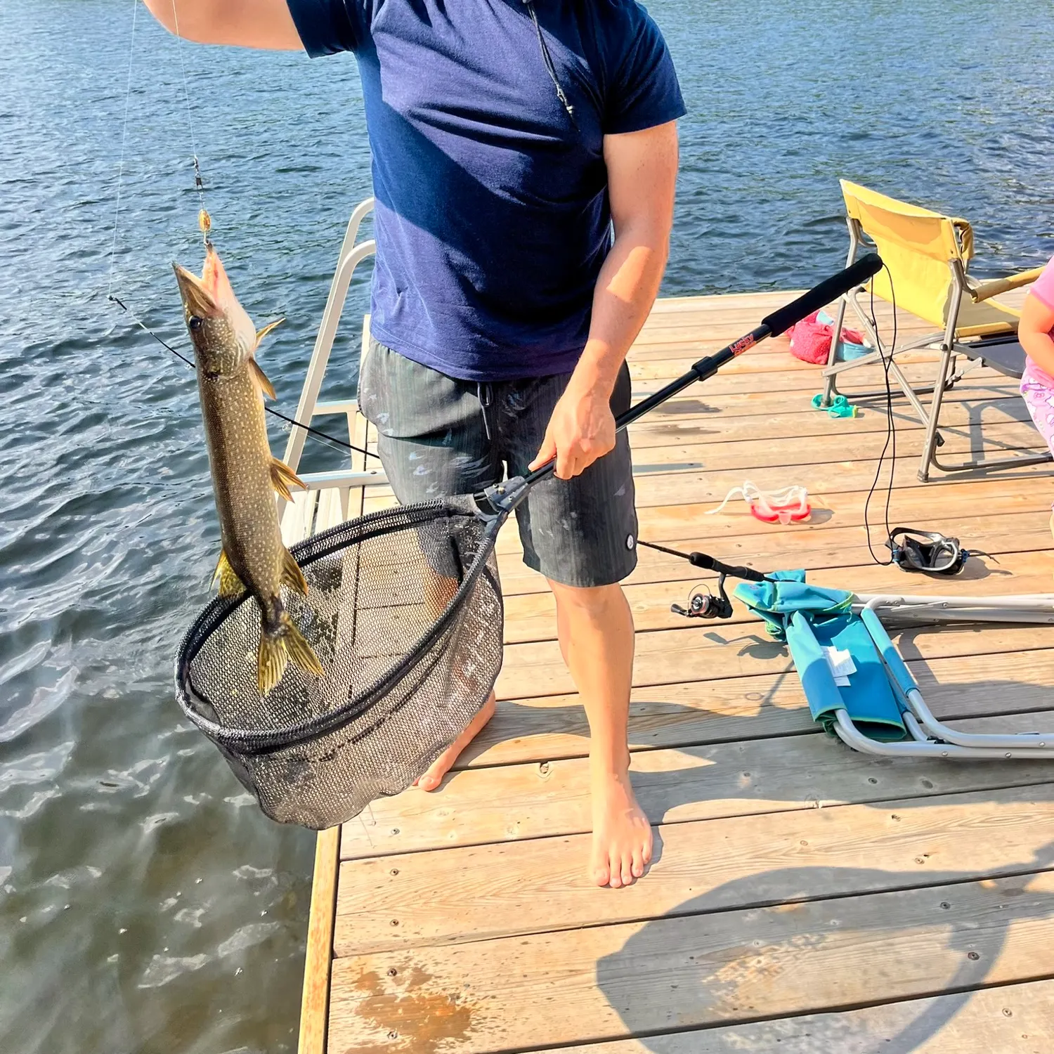 Northern pike caught on Fishbrain