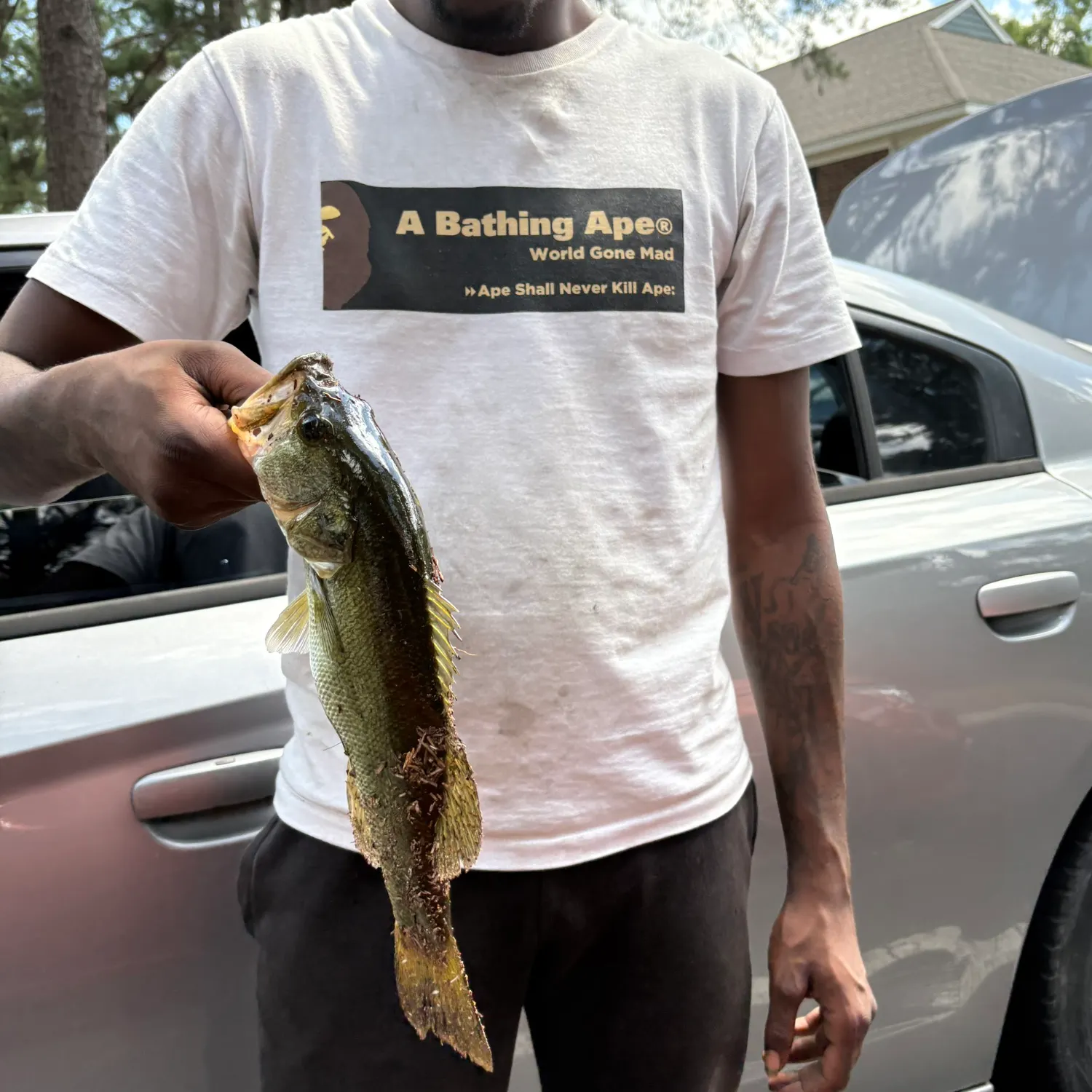 catch