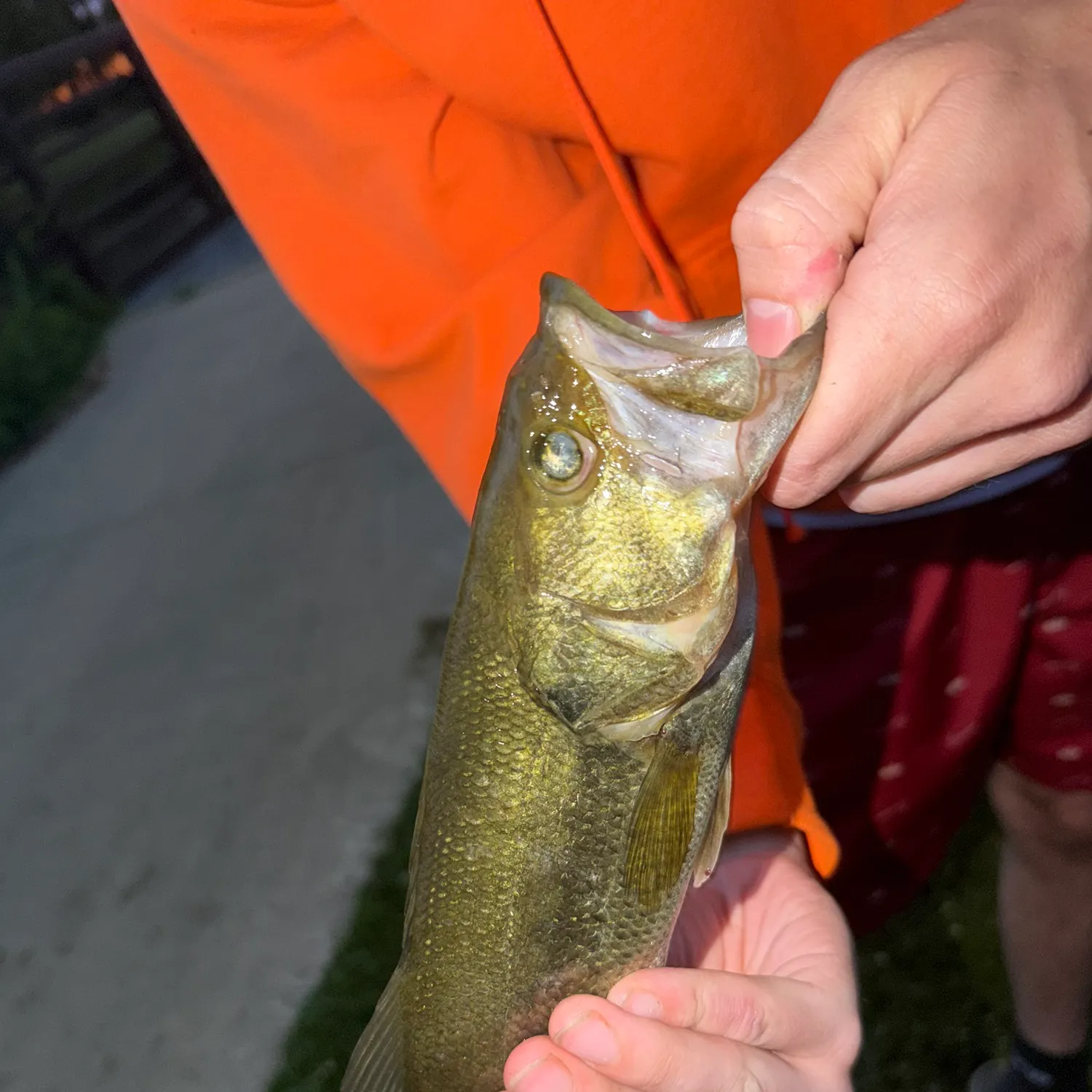 catch