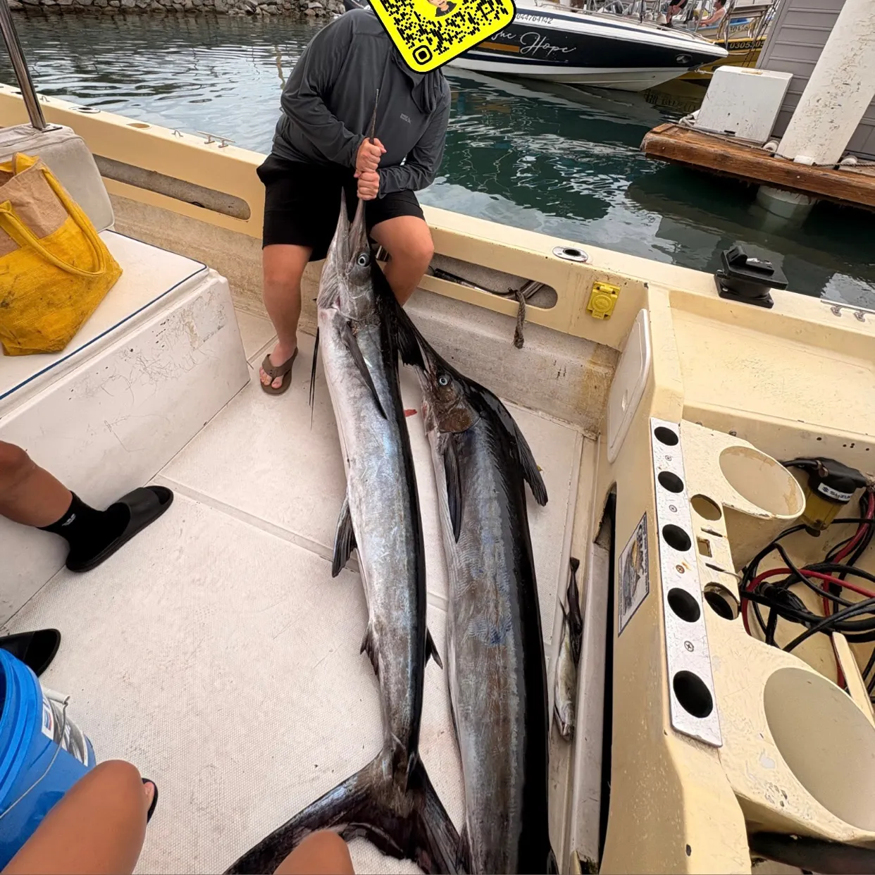 The most recent Striped marlin catches on Fishbrain