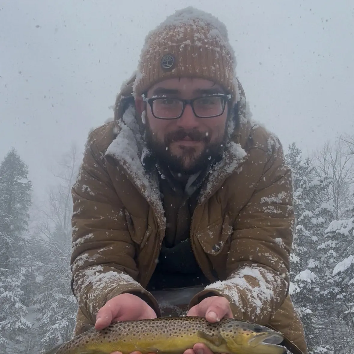 The most recent Brown trout catches on Fishbrain