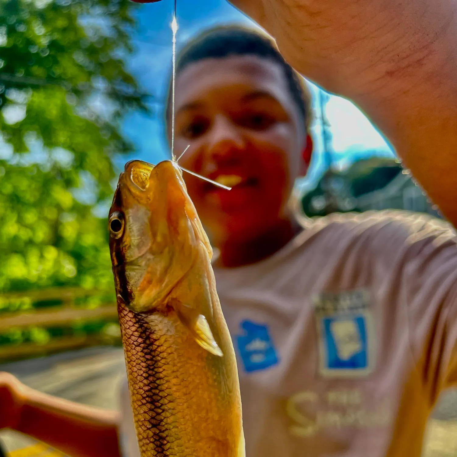 Bluegill caught on Fishbrain