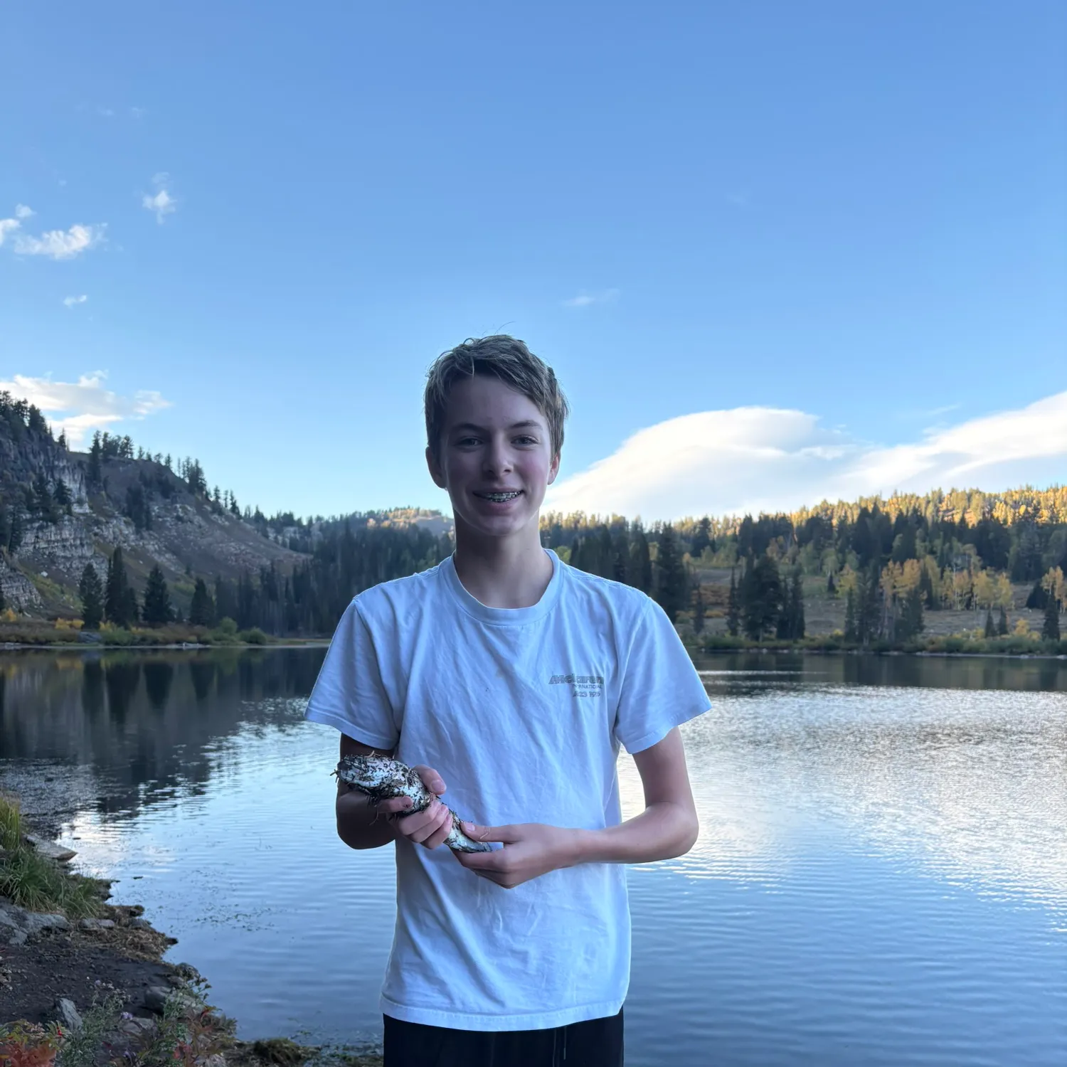 Rainbow trout caught on Fishbrain