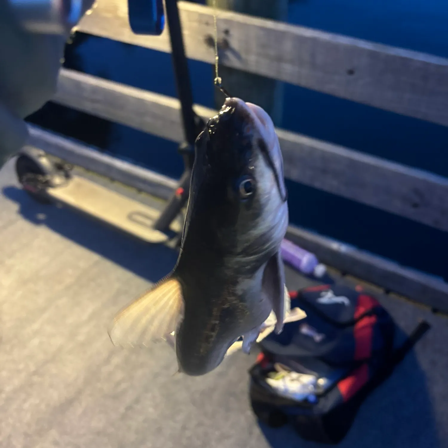 catch