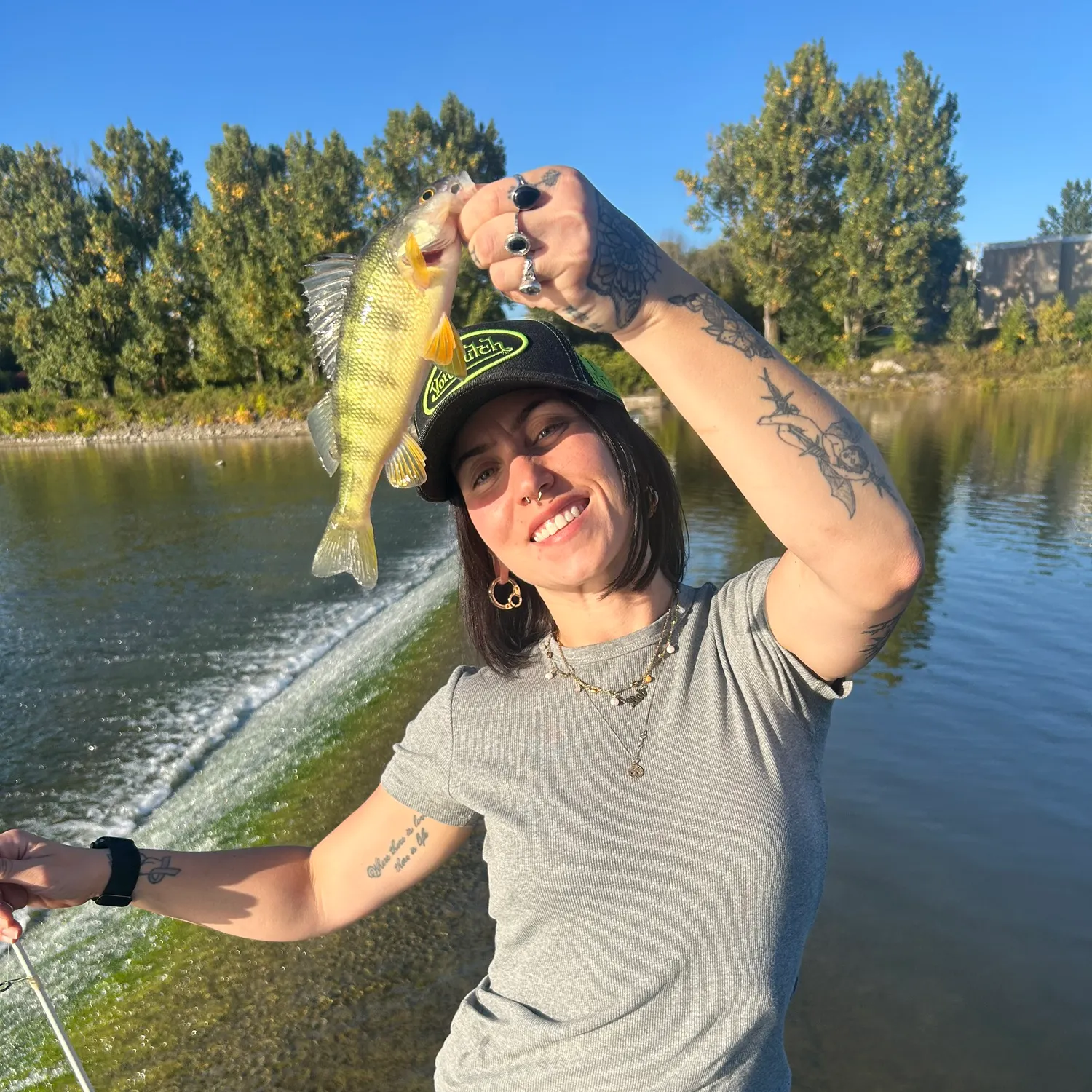 Yellow perch caught on Fishbrain