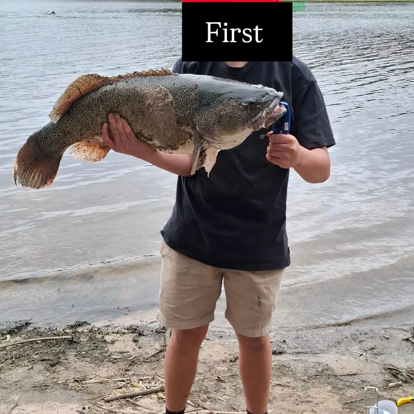 Murray cod caught on Fishbrain