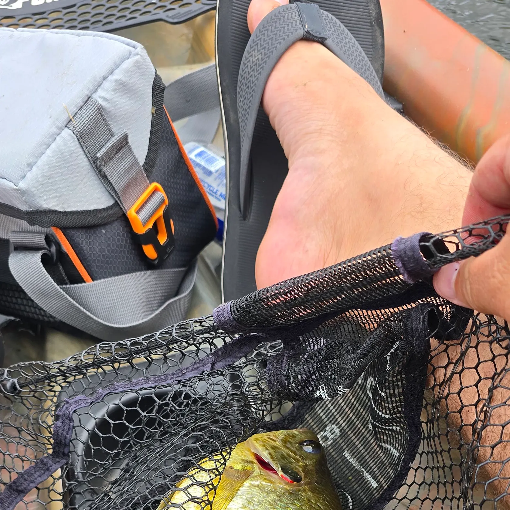 catch