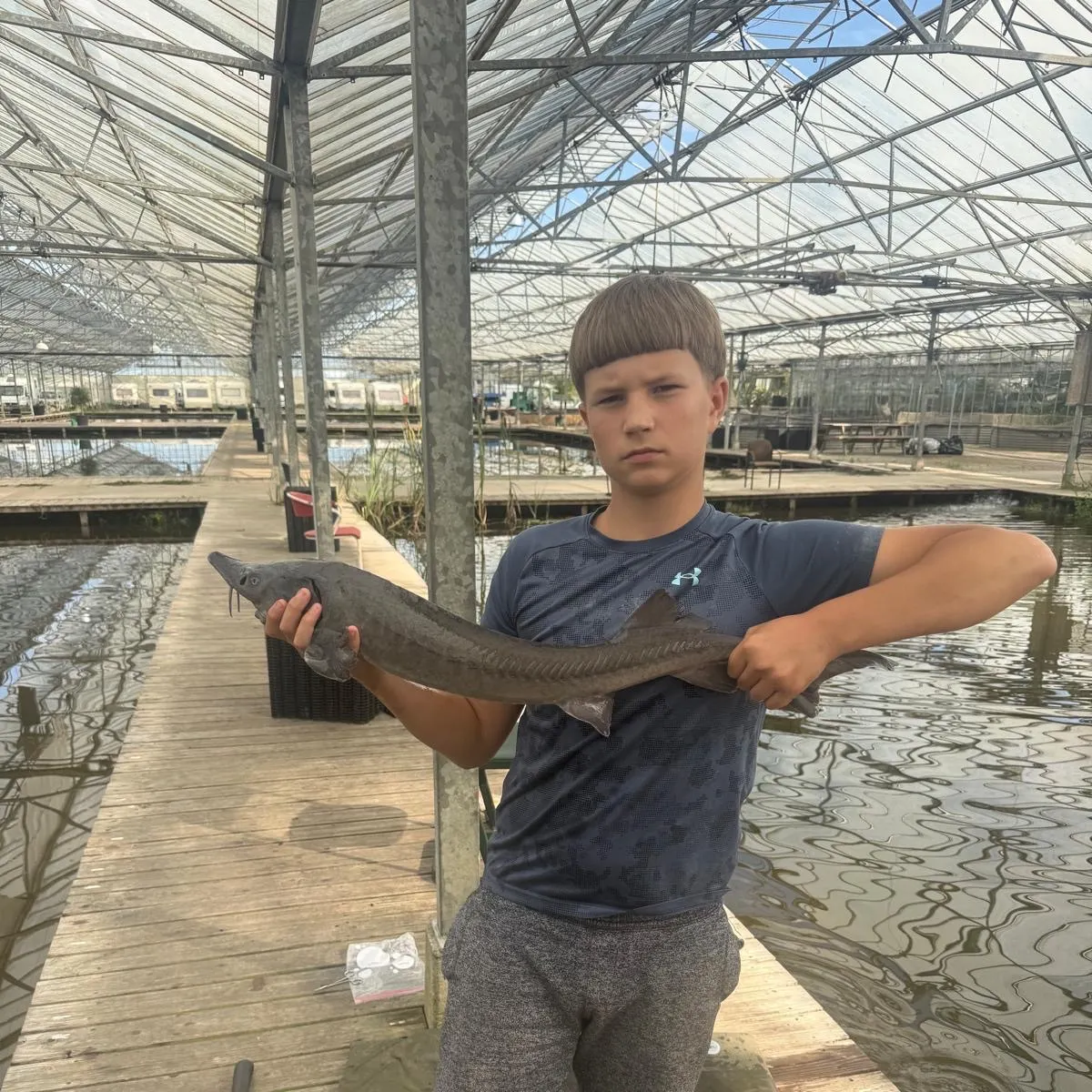 Siberian sturgeon caught on Fishbrain