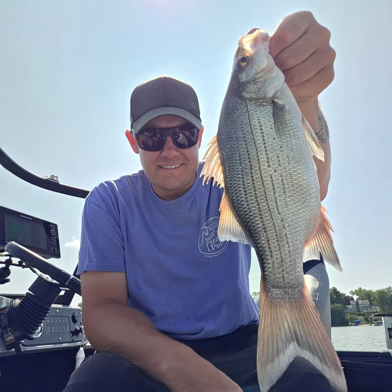 White bass caught on Fishbrain