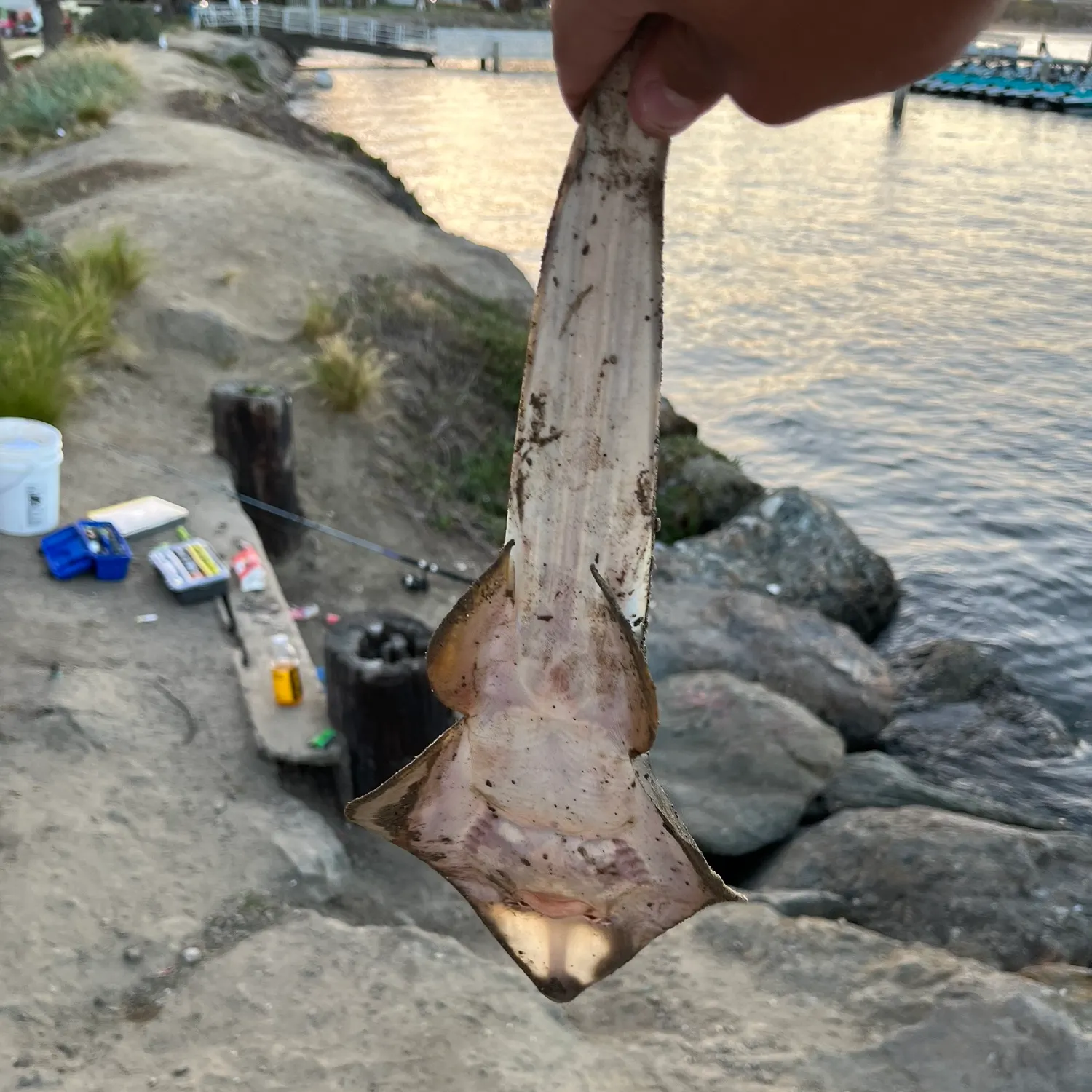 catch