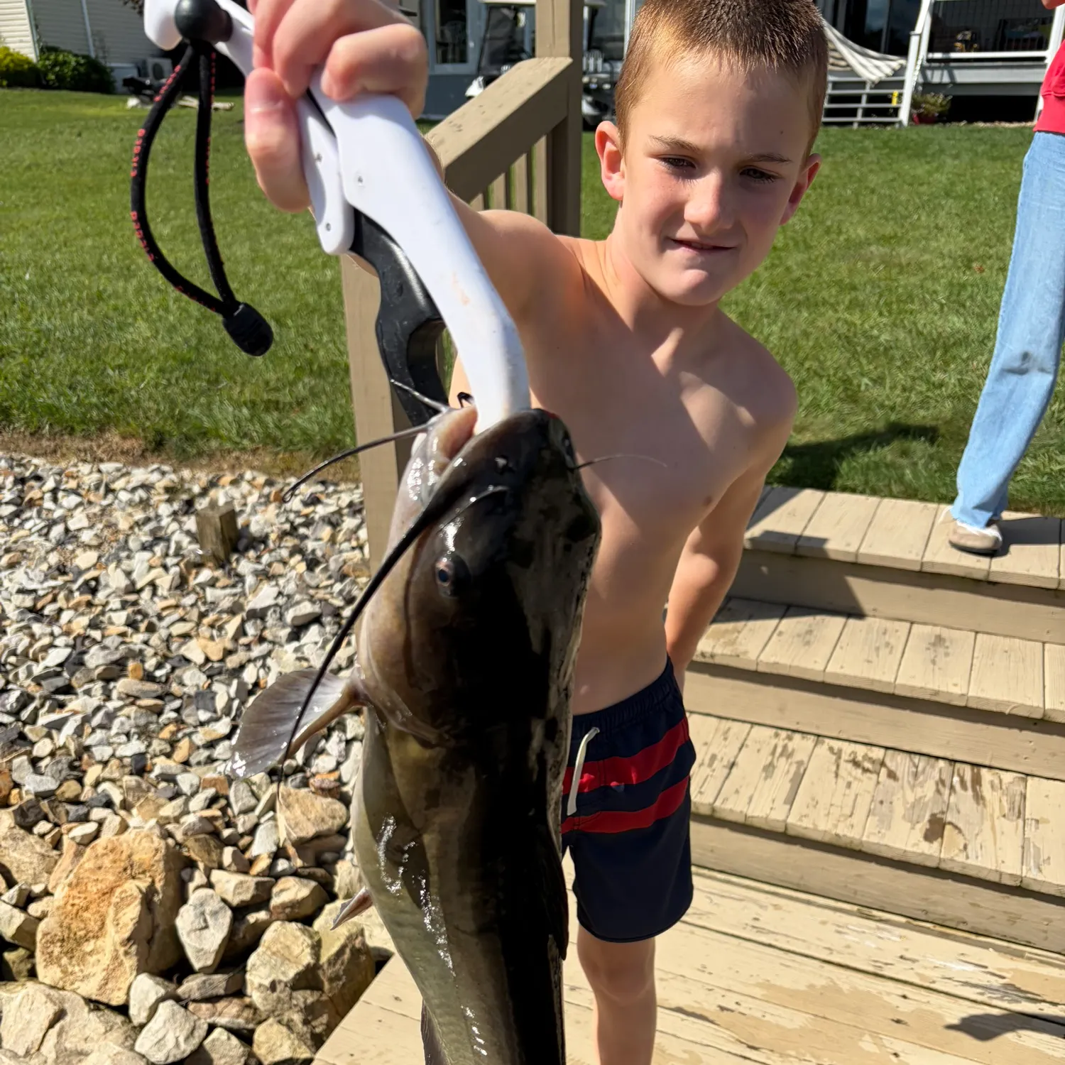 Channel catfish caught on Fishbrain