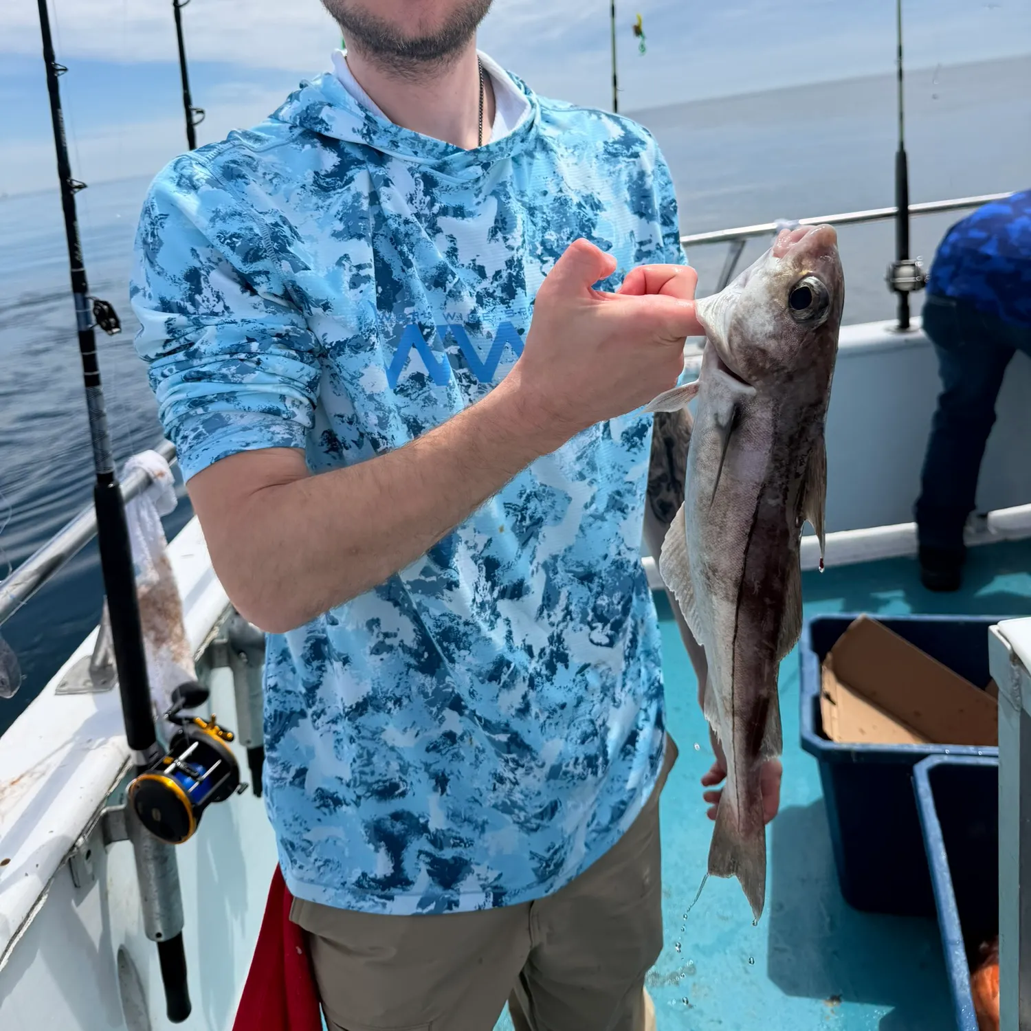 The most recent Haddock catches on Fishbrain