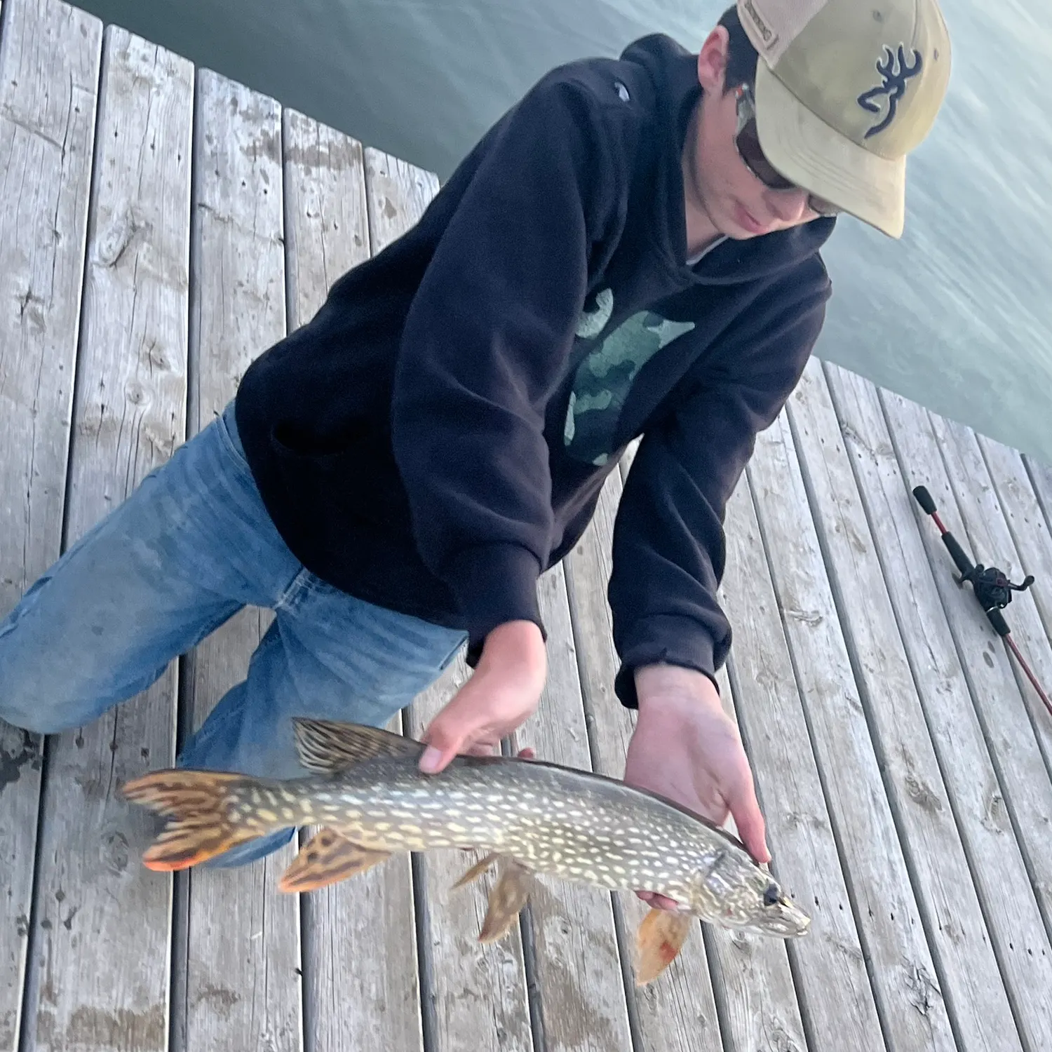 The most recent Northern pike catches on Fishbrain