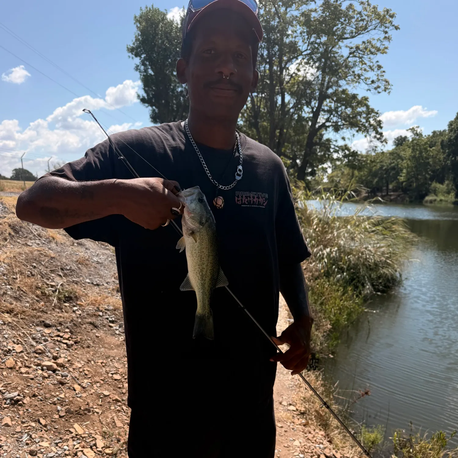 Largemouth bass caught on Fishbrain