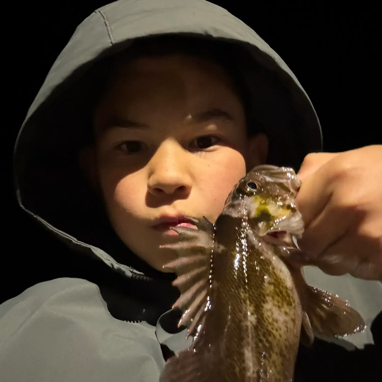 The most recent Copper rockfish catches on Fishbrain