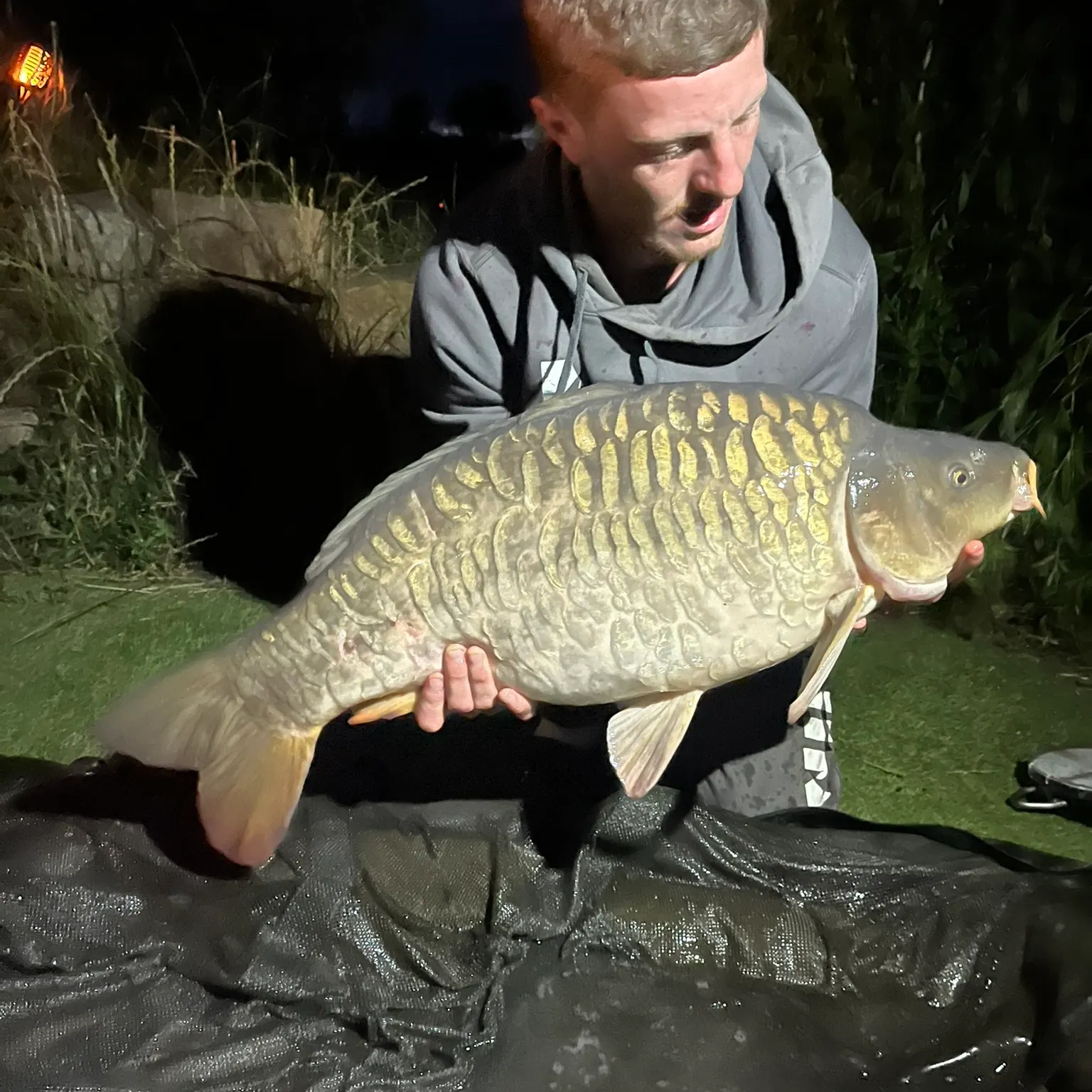 The most recent Mirror carp catches on Fishbrain