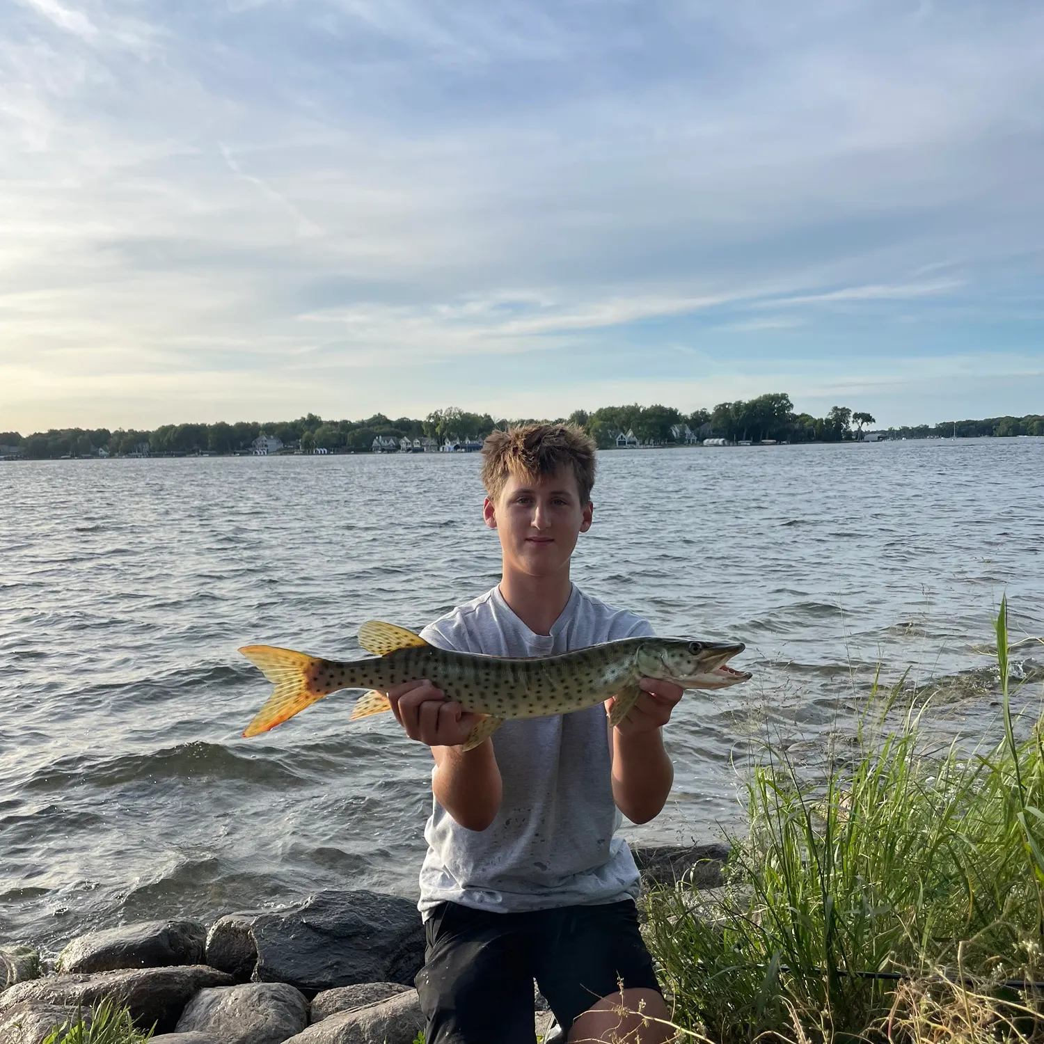 Muskie caught on Fishbrain