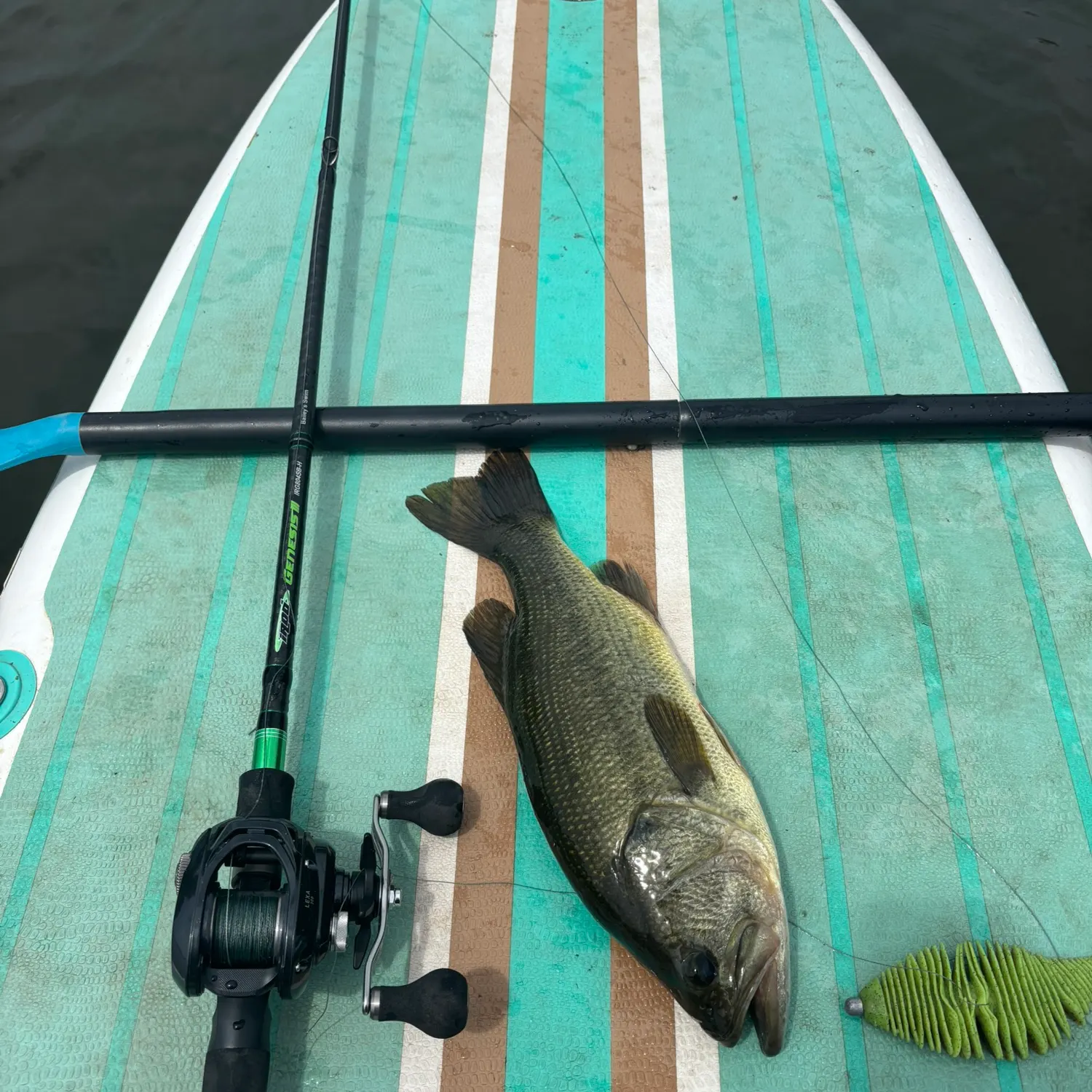 bazooka fishing pole case Flambeau Bazuka 6095 Pro Rod Tube