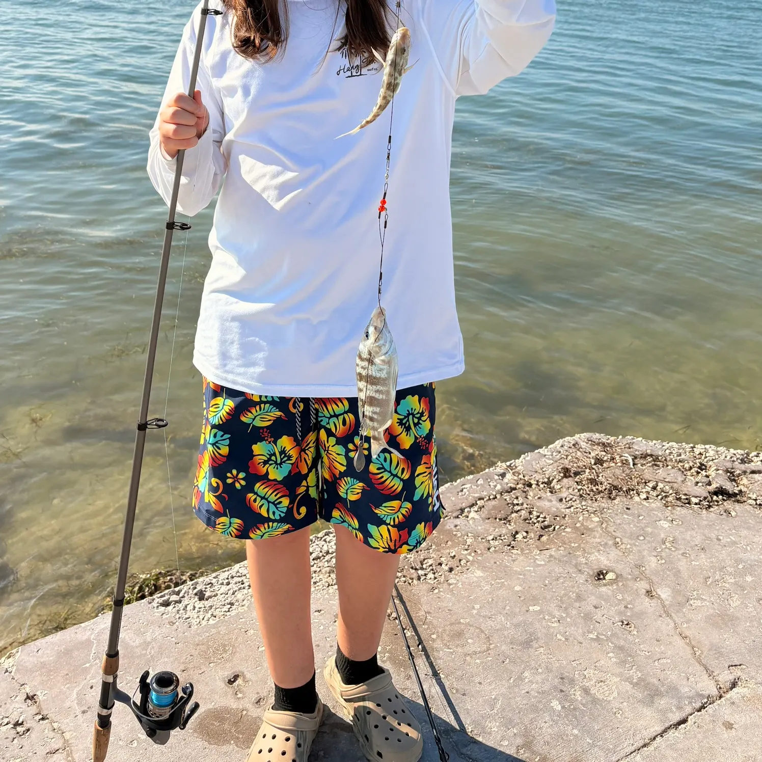 The most recent Pigfish catches on Fishbrain