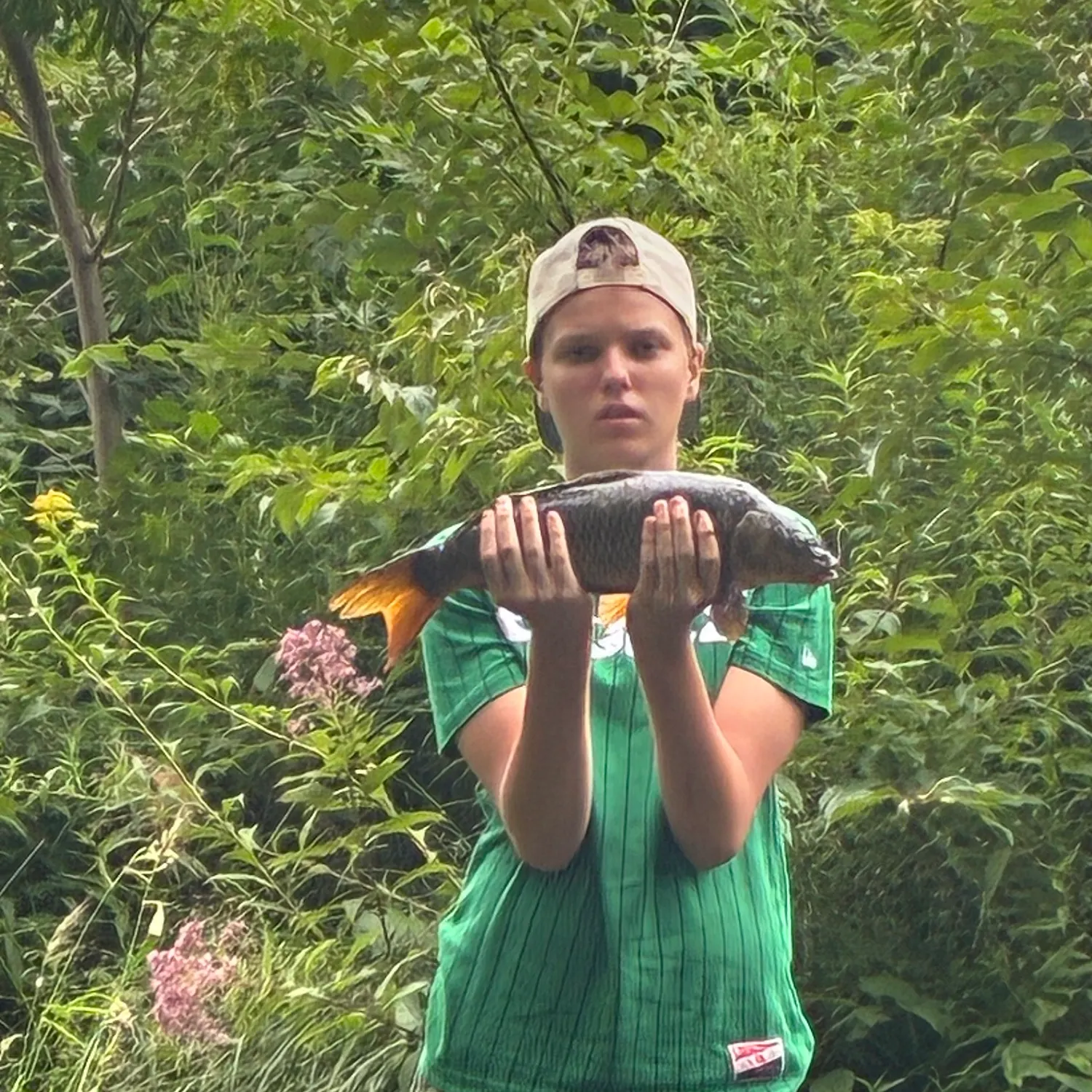 Common carp caught on Fishbrain