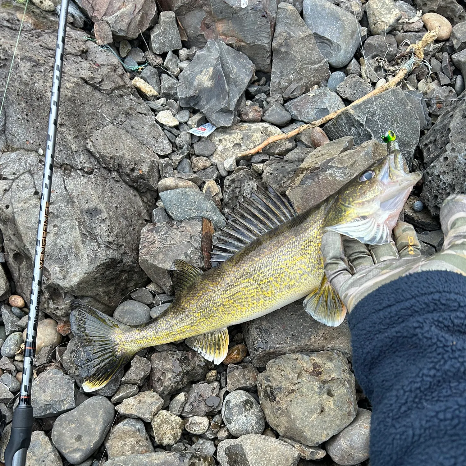 recently logged catches