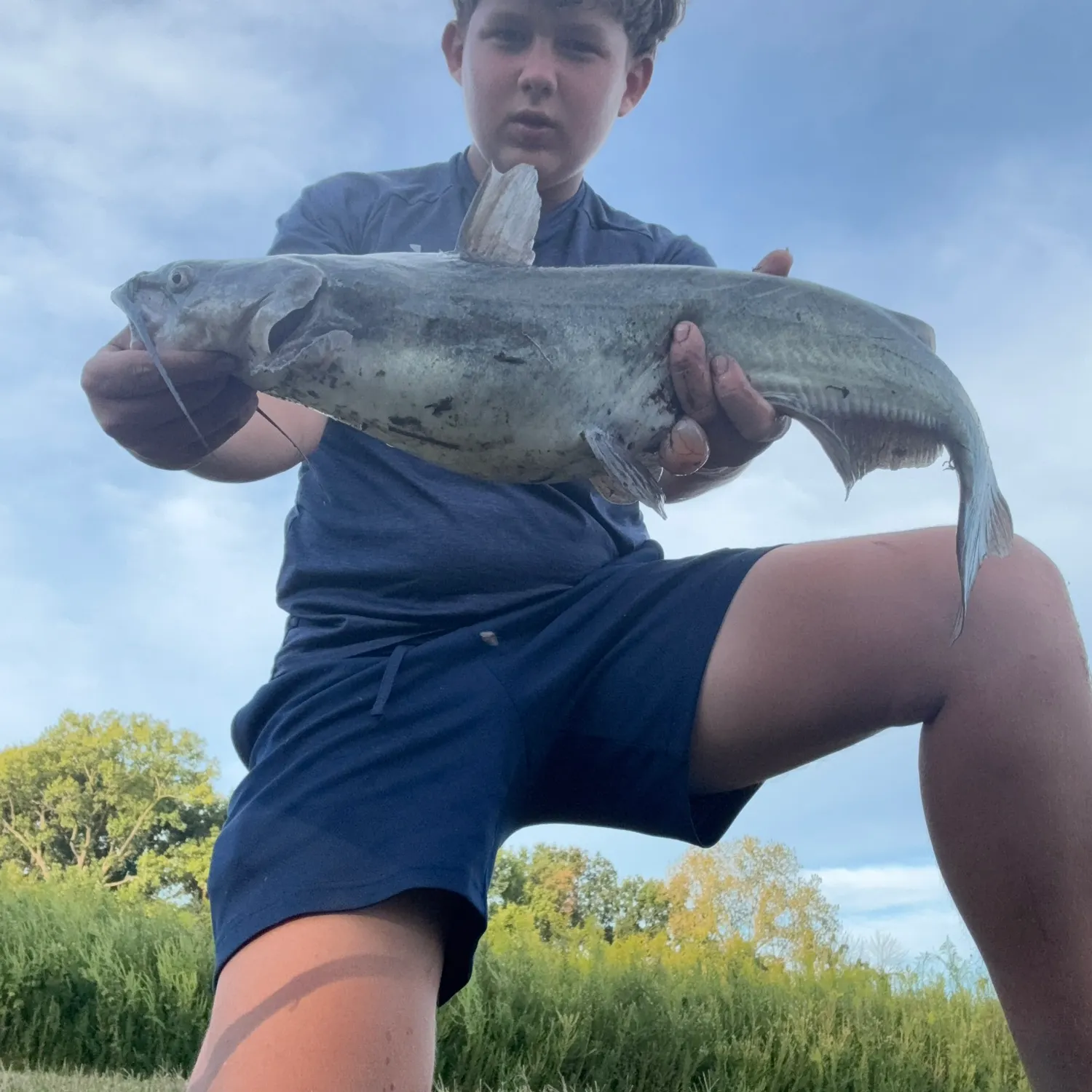 Channel catfish caught on Fishbrain